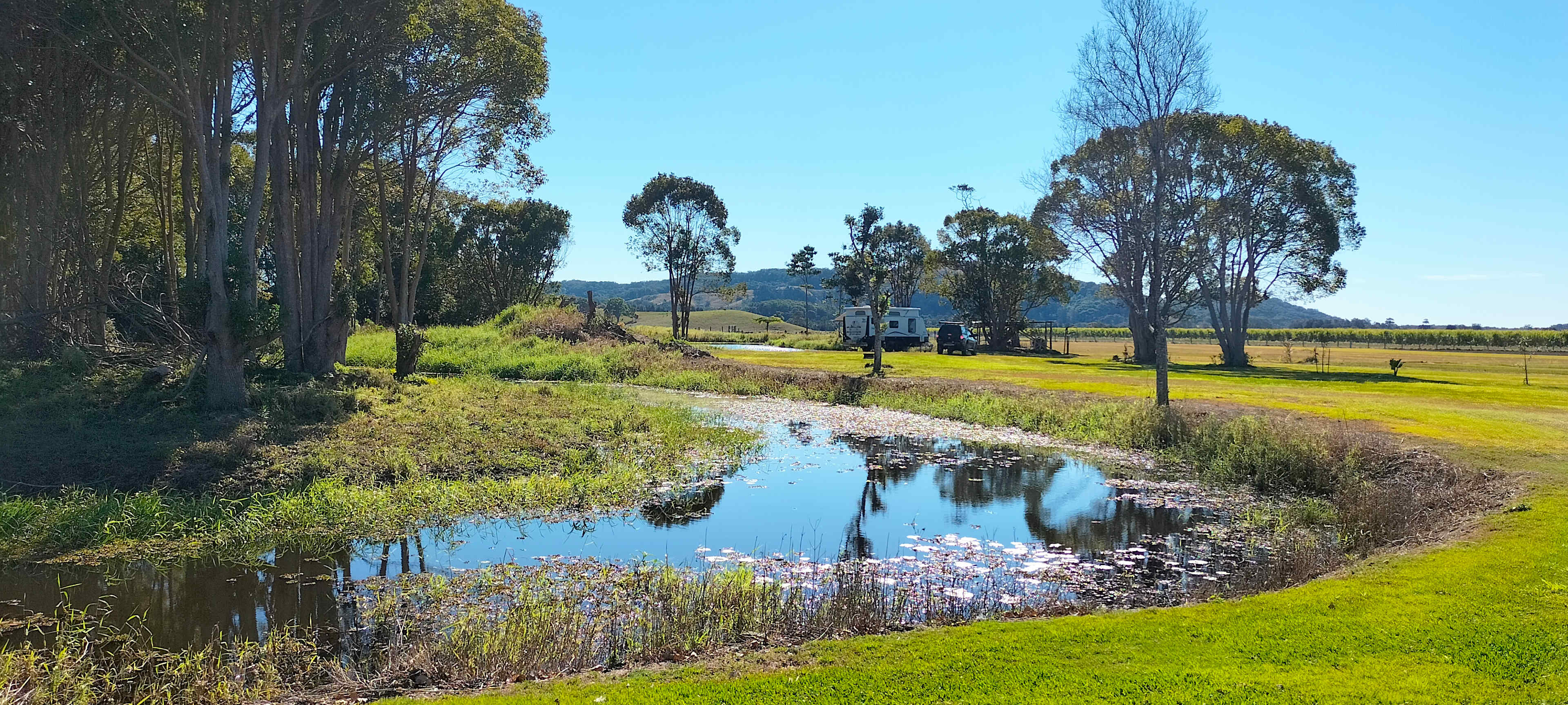 Pottsville Farm