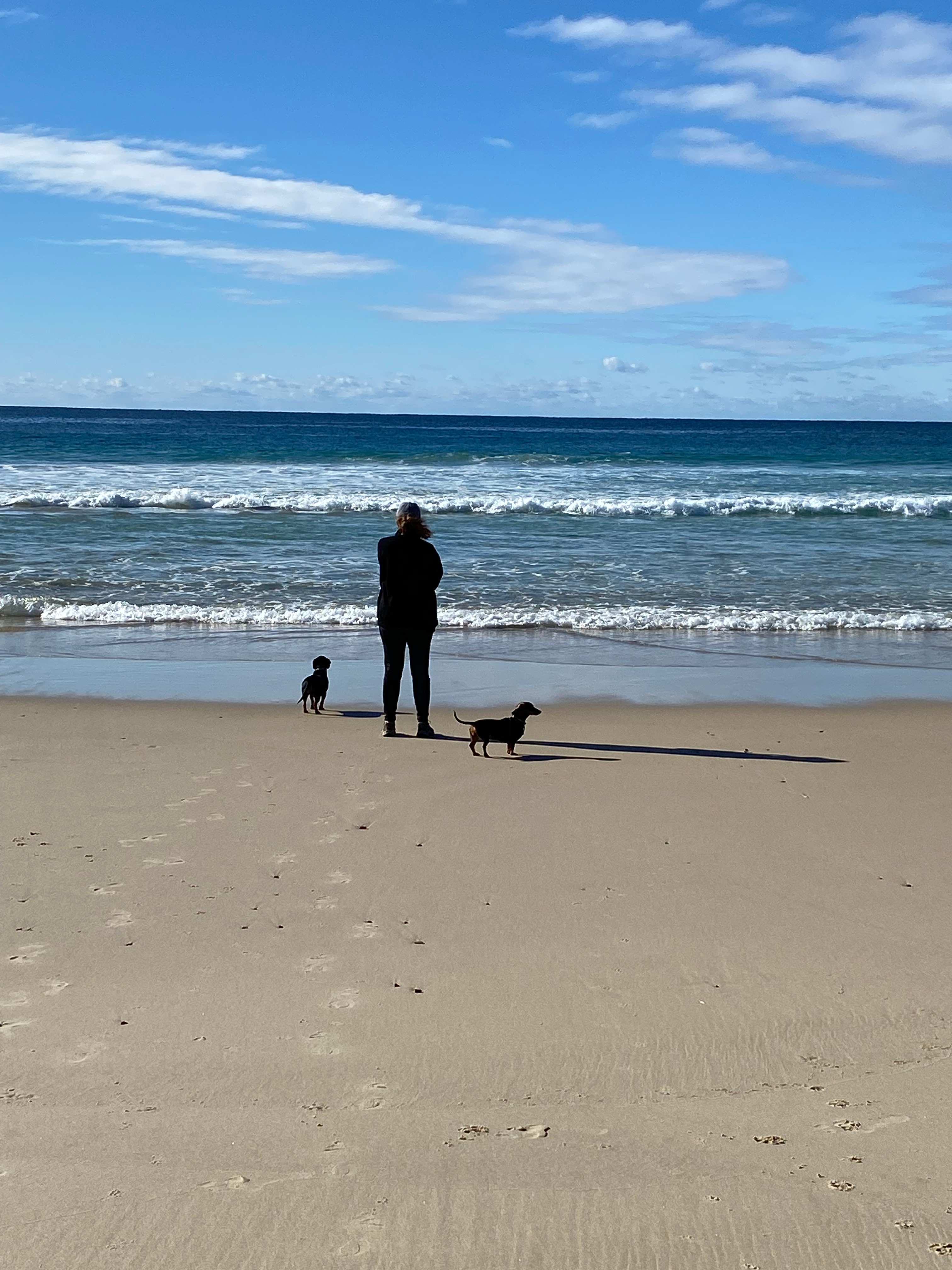 Dog friendly beach 2 minutes walk from our cabin.