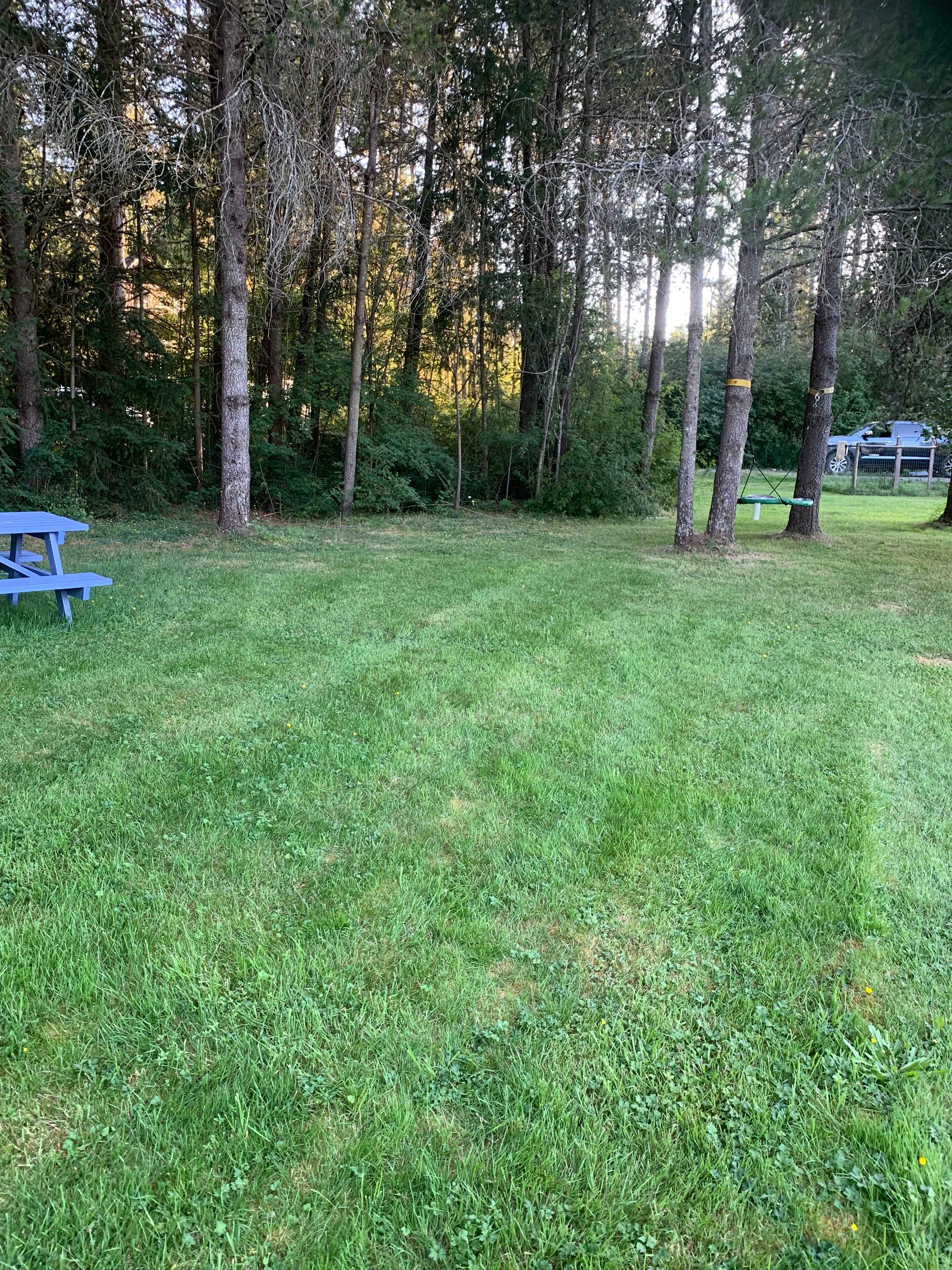Murphy’s Farm