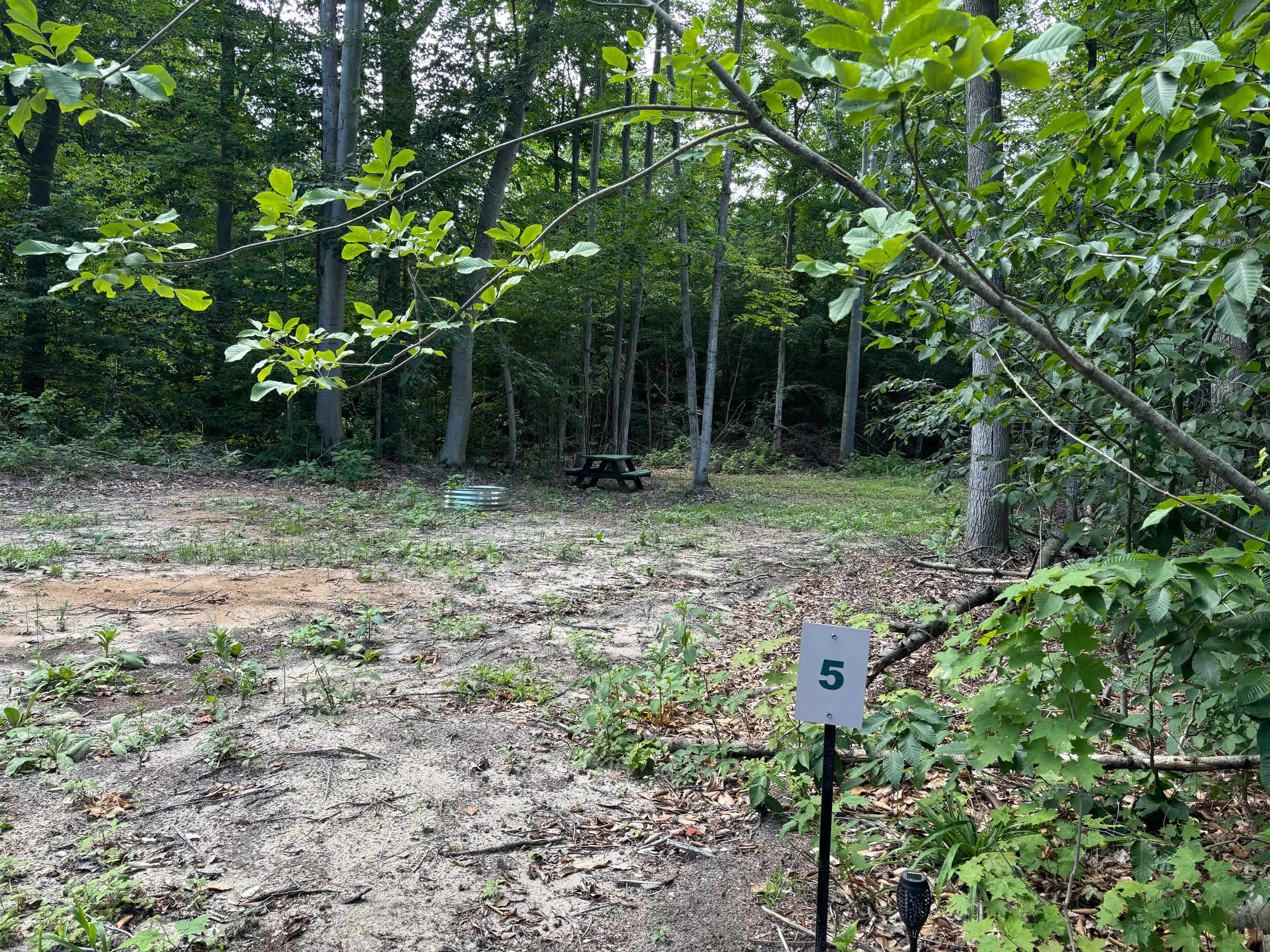 Mr. Joe's Campground