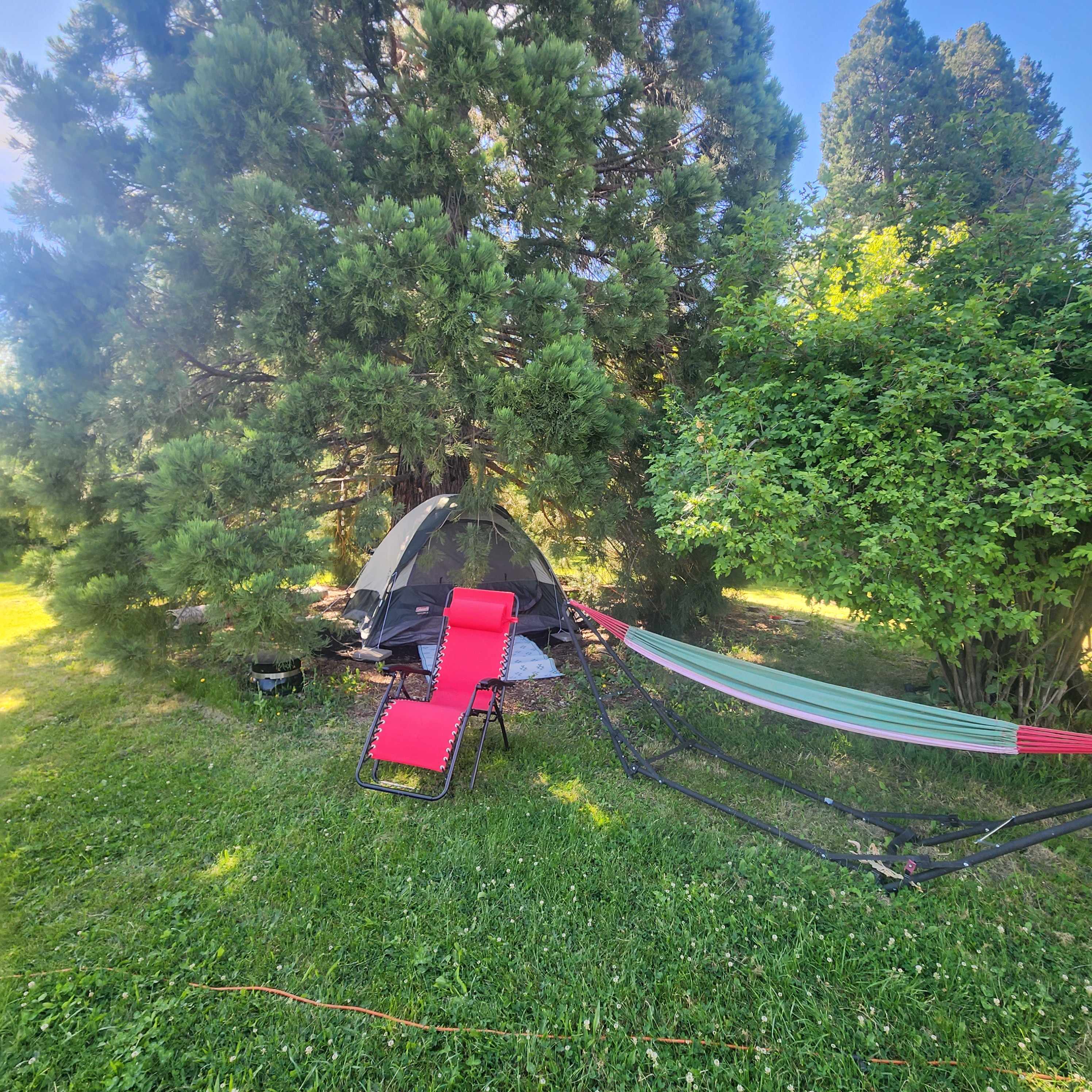 Shasta Gardens
