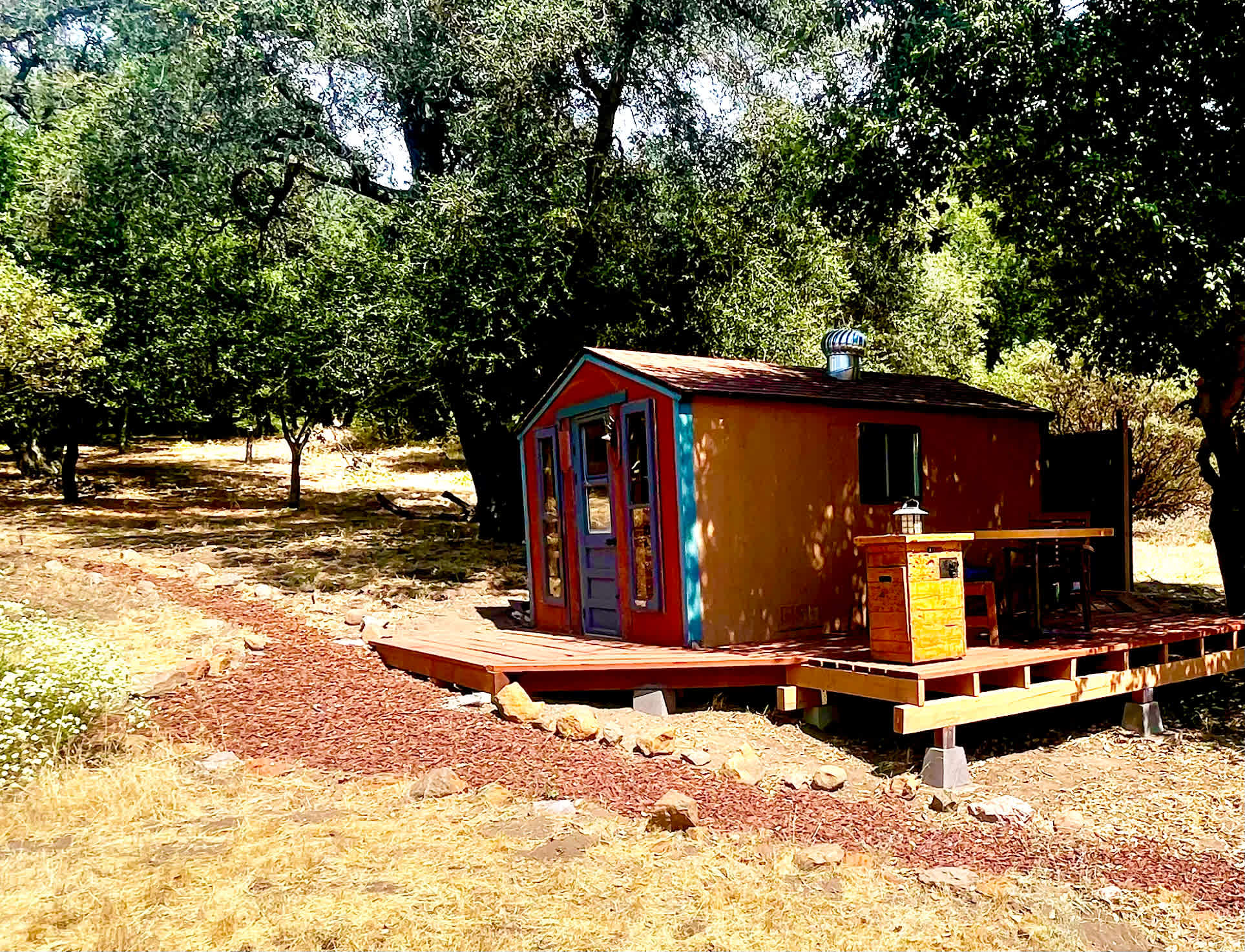 Picture of the site