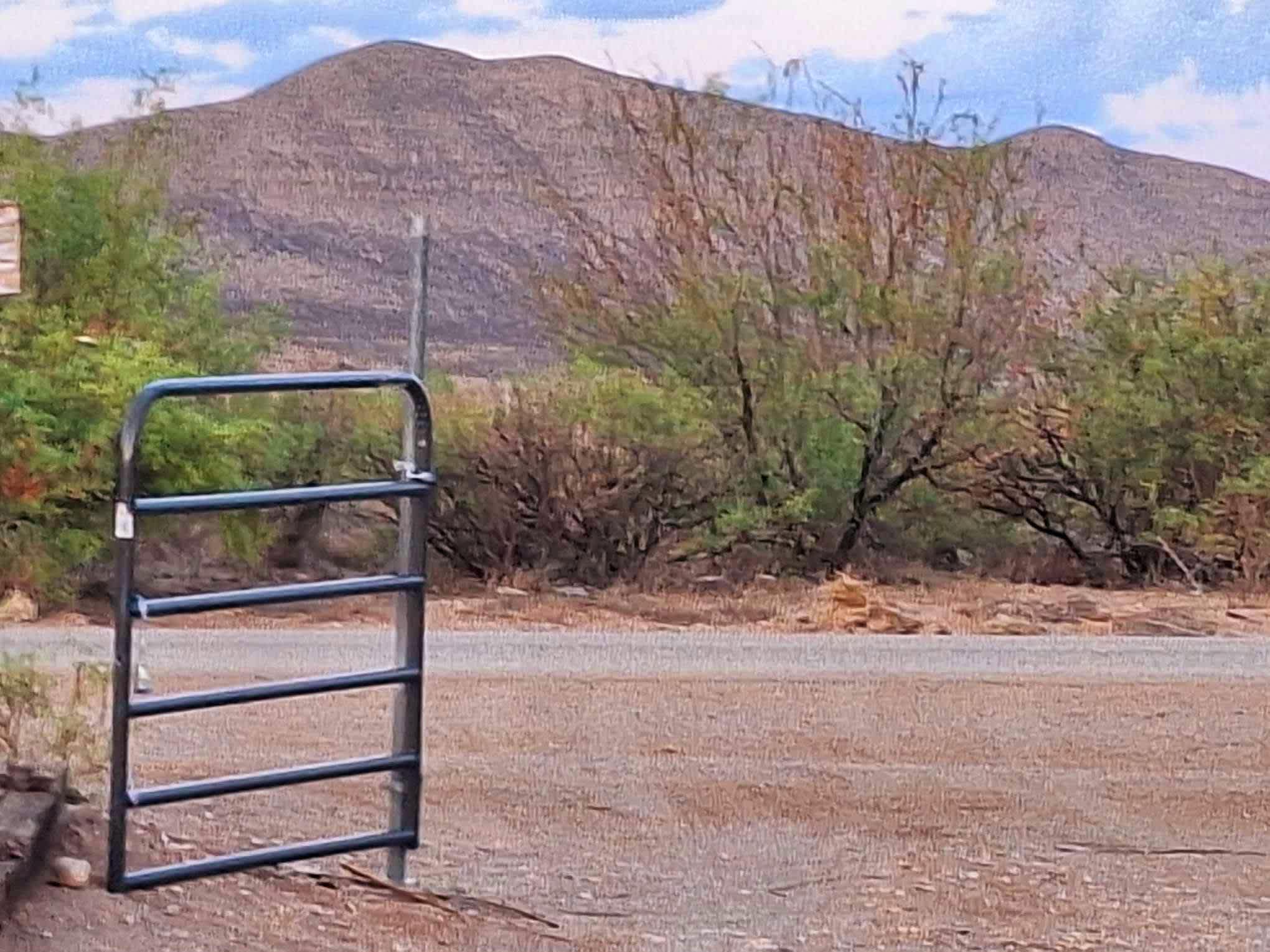 Wild West Oasis