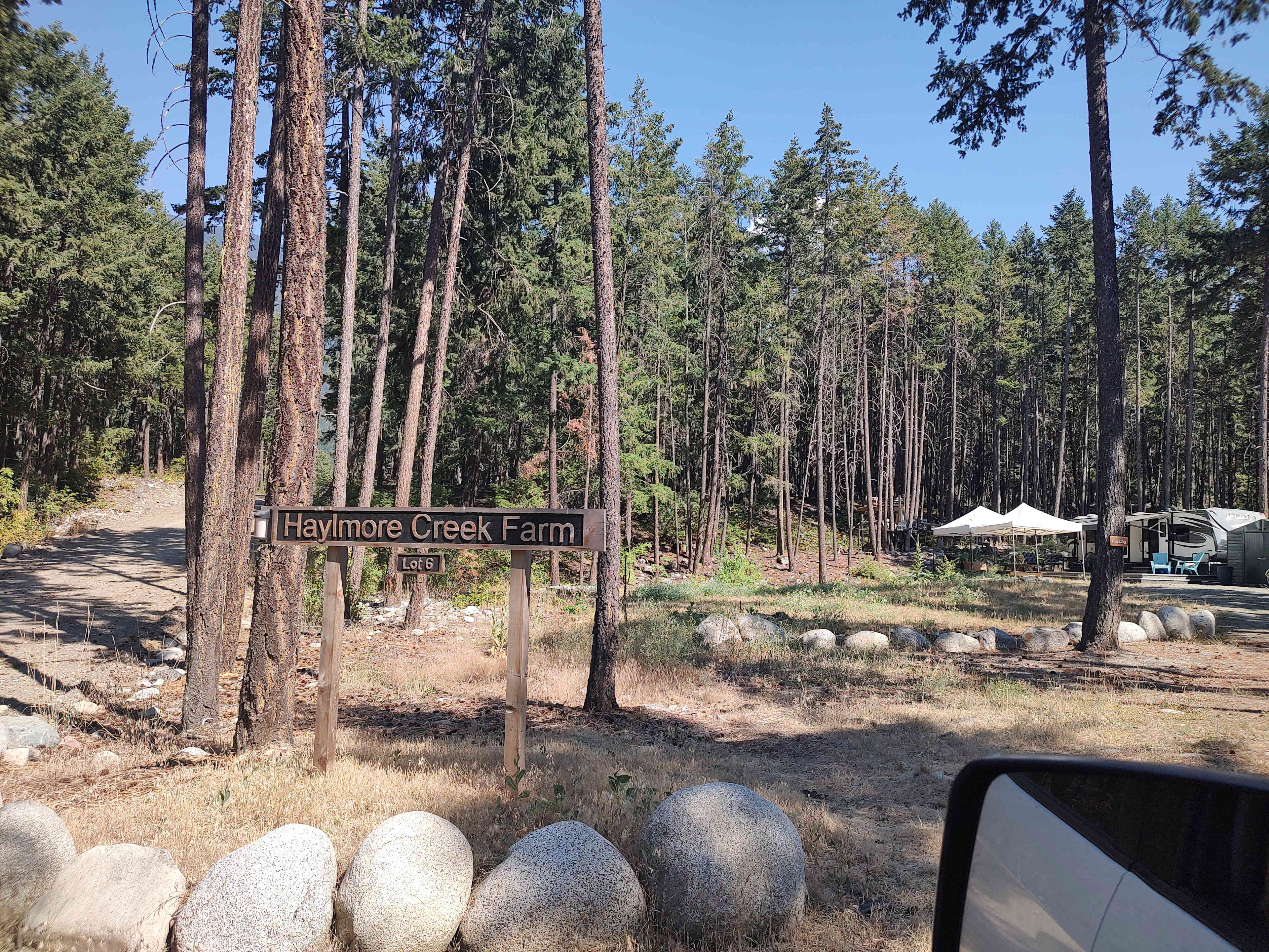 Picture of the site