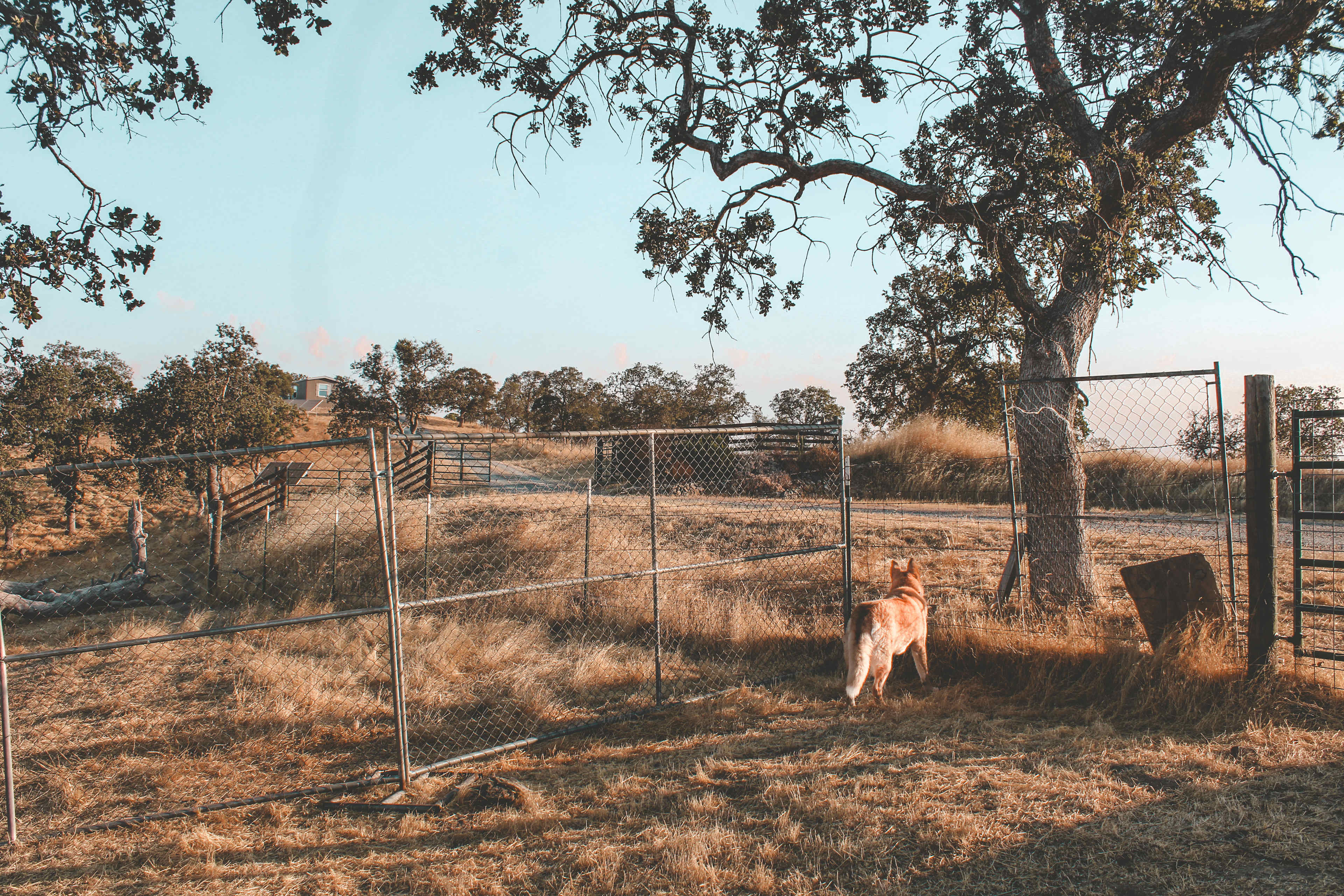 I found this fence to be helpful, as I wanted to keep my pup safe in the vicinity at night 