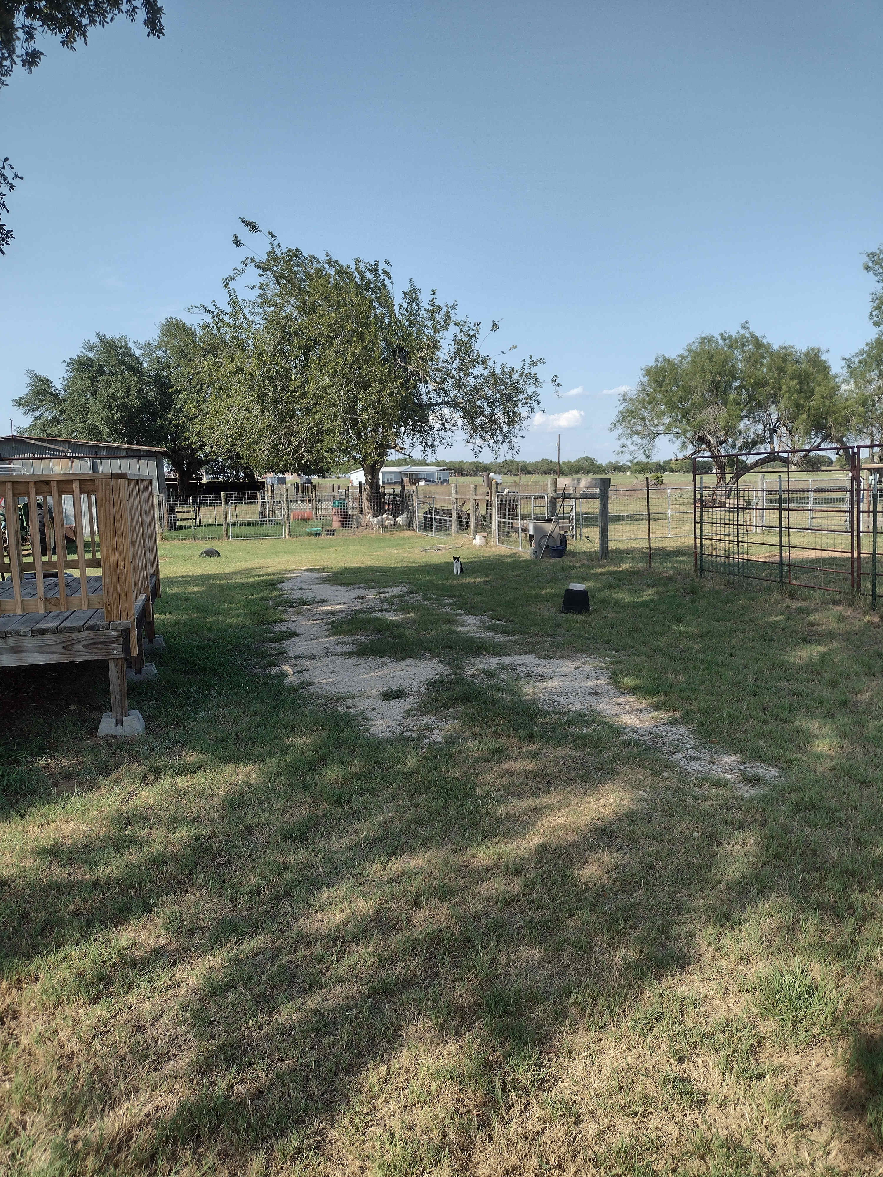 Ranch land with pasture.