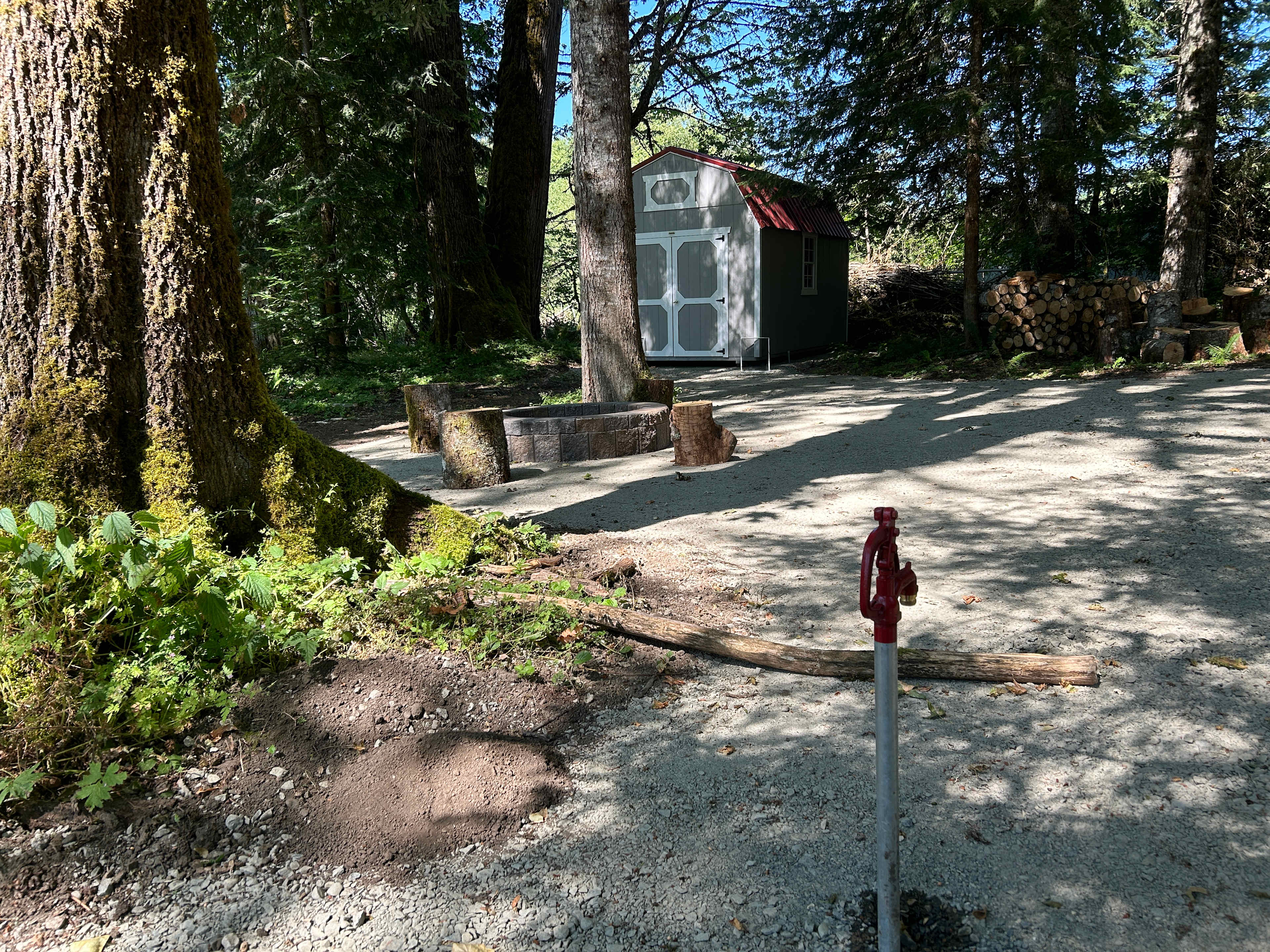 Rainier Cabin