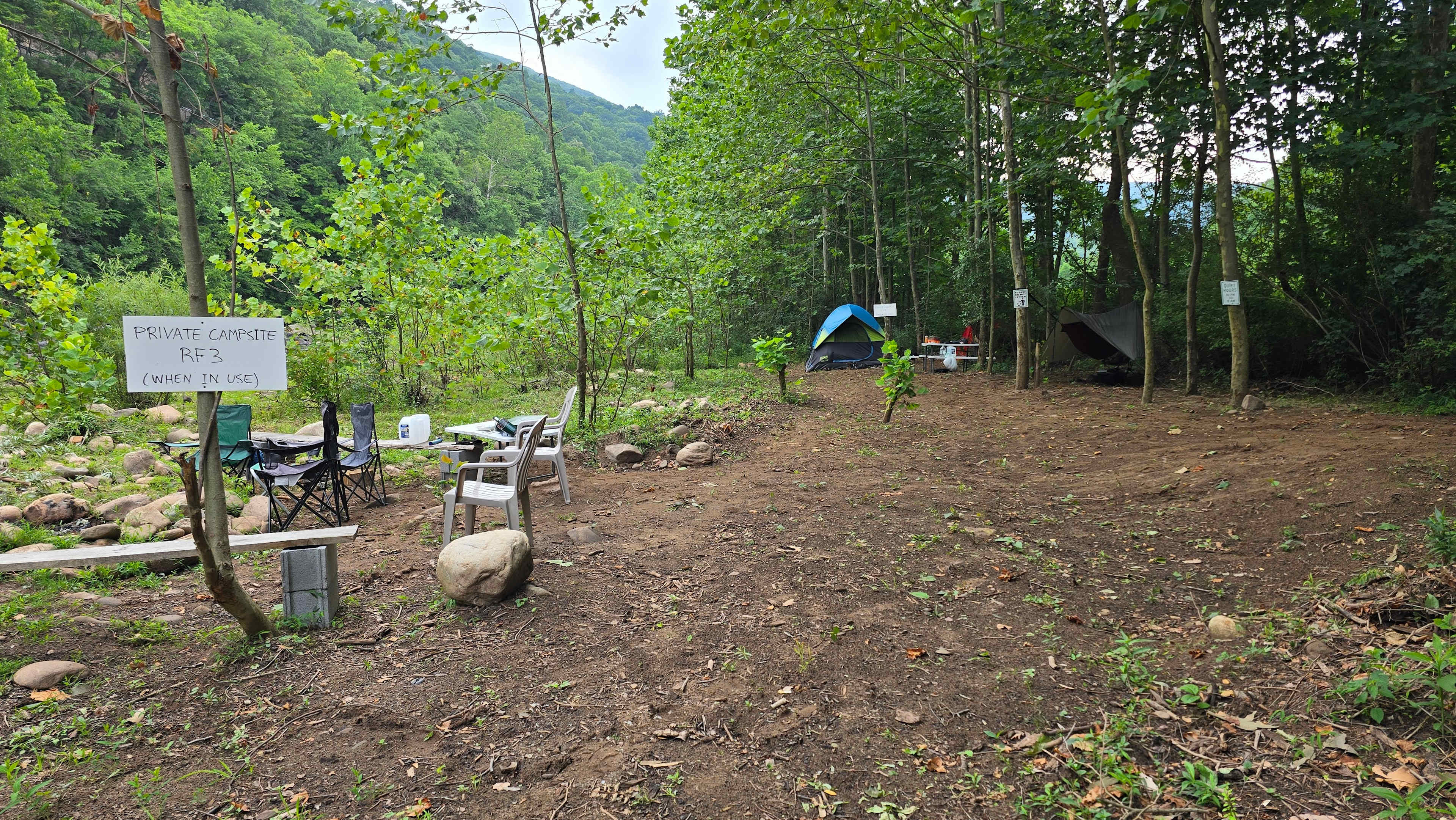 Picture of the site