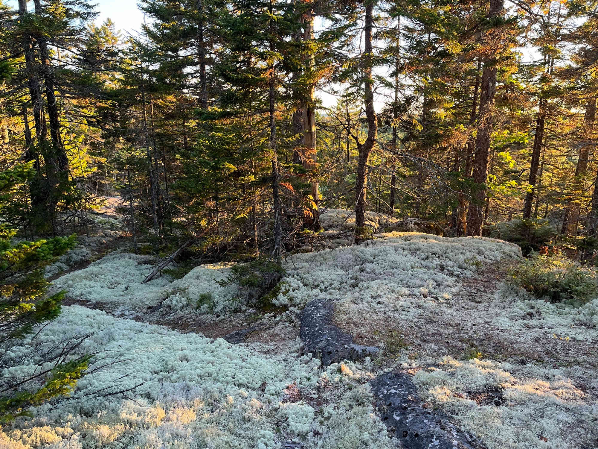 Tom's Retreat on Gardner Lake