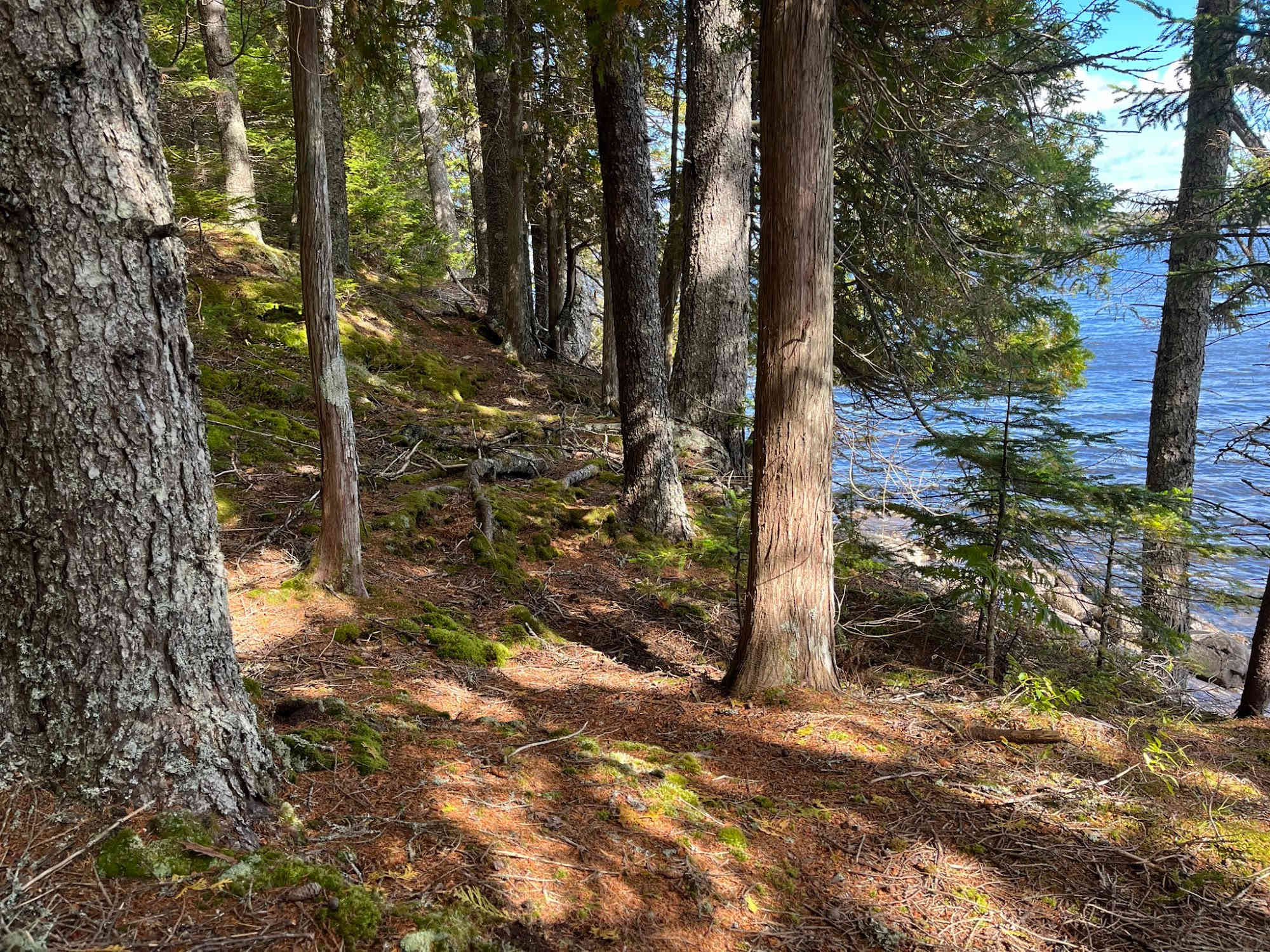 Tom's Retreat on Gardner Lake