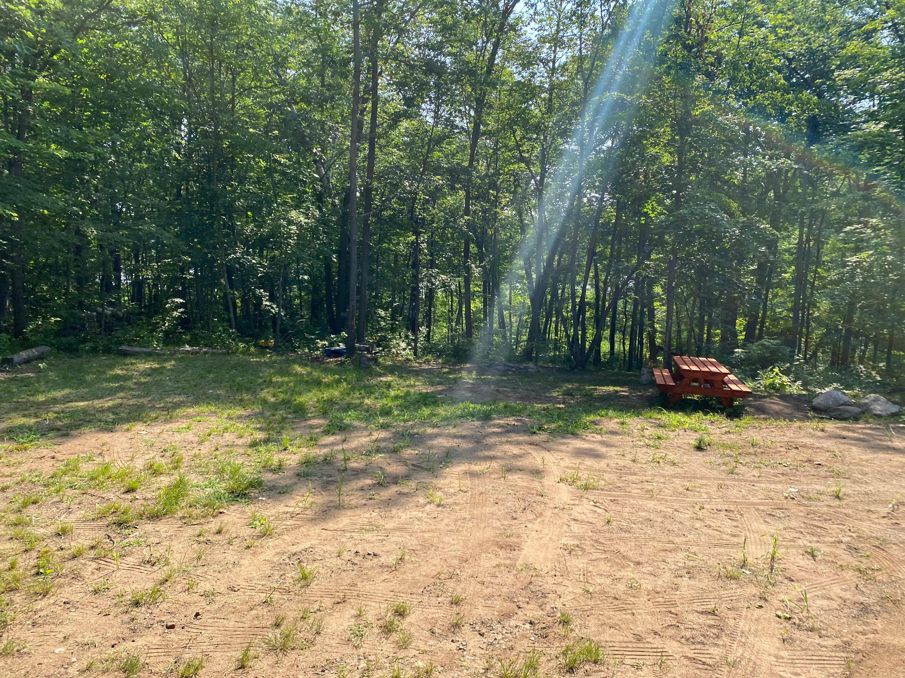 Picture of the site