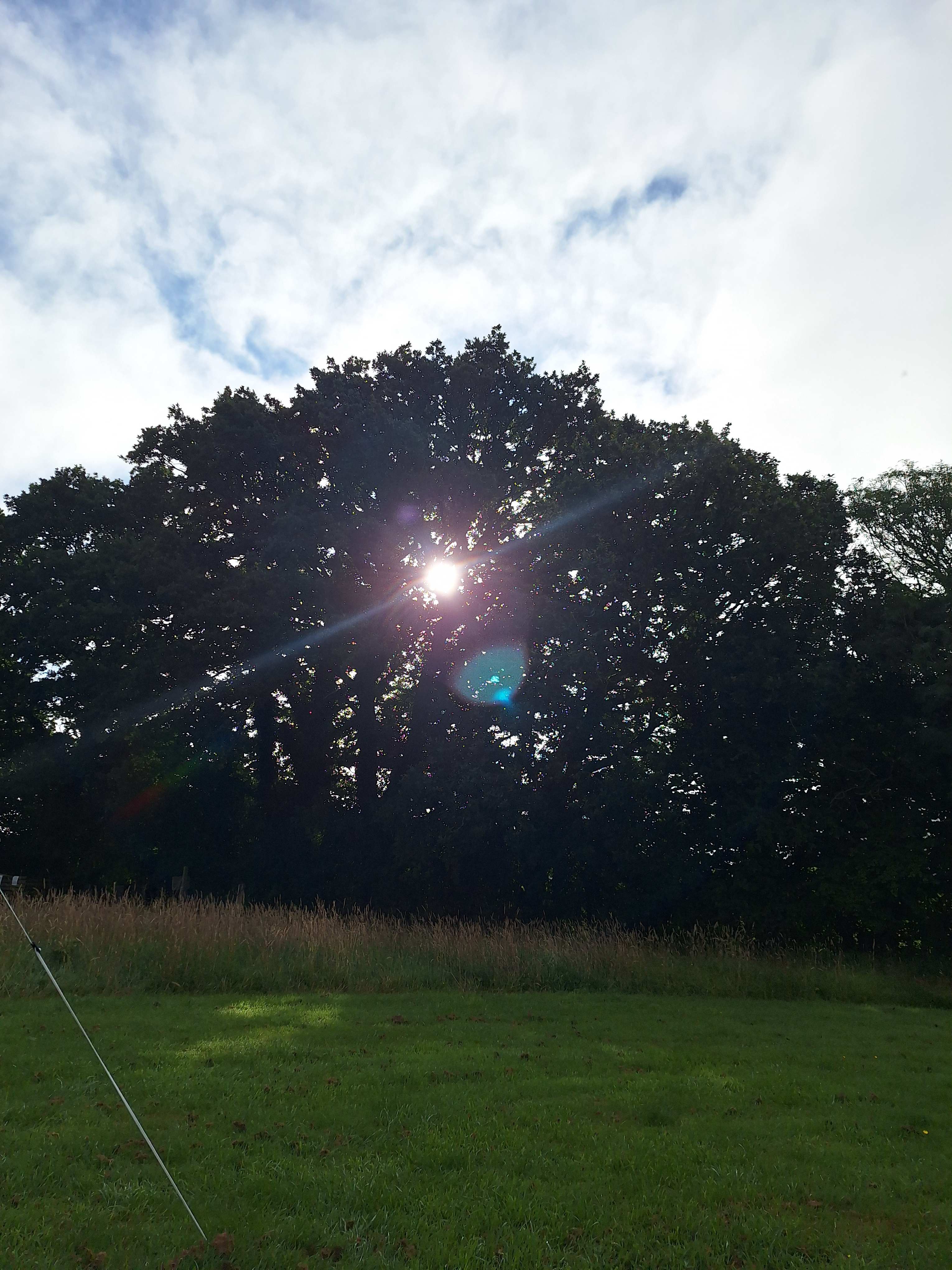 The Sunnyfield Campsite