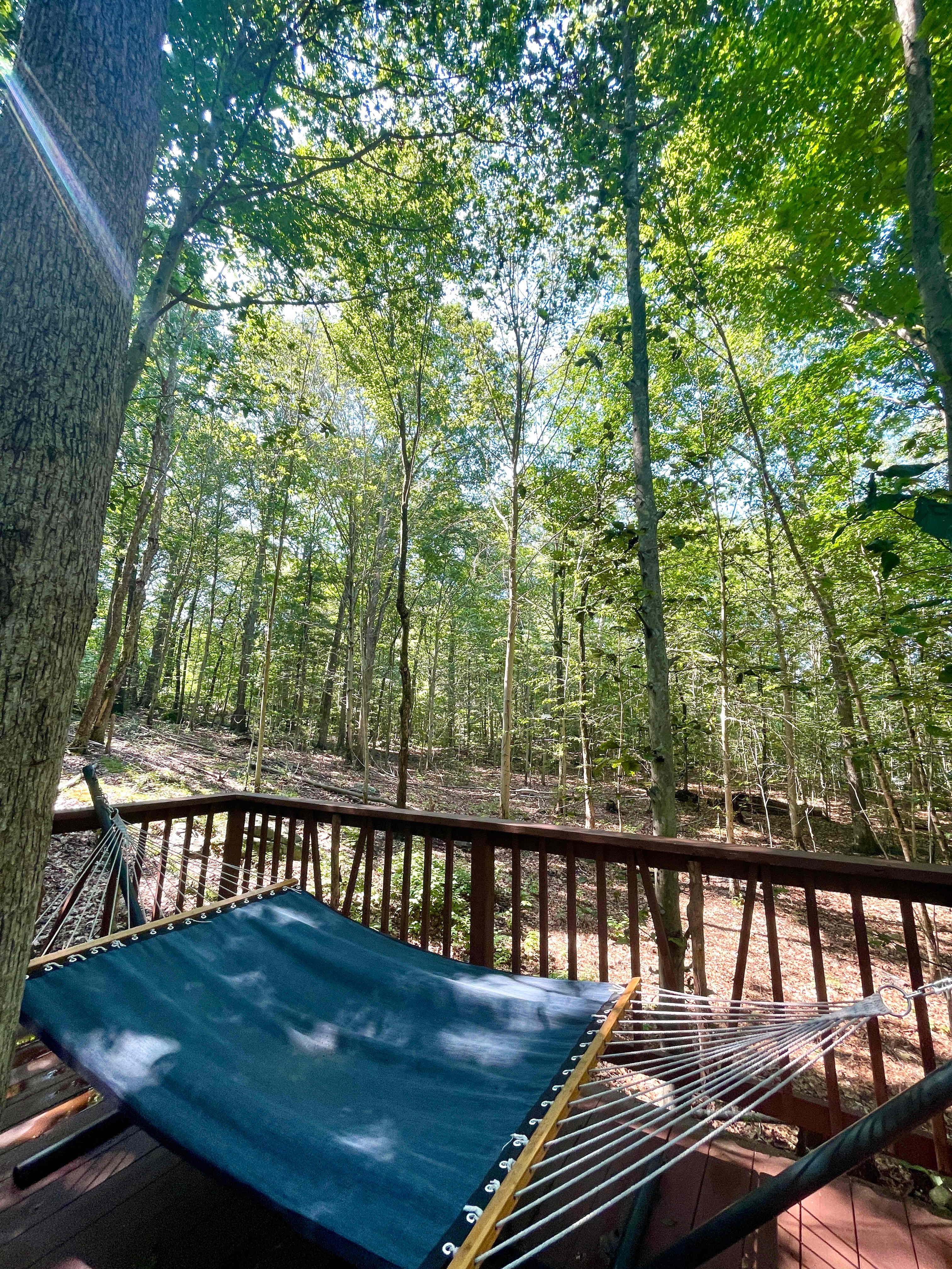 Water Forest Retreat