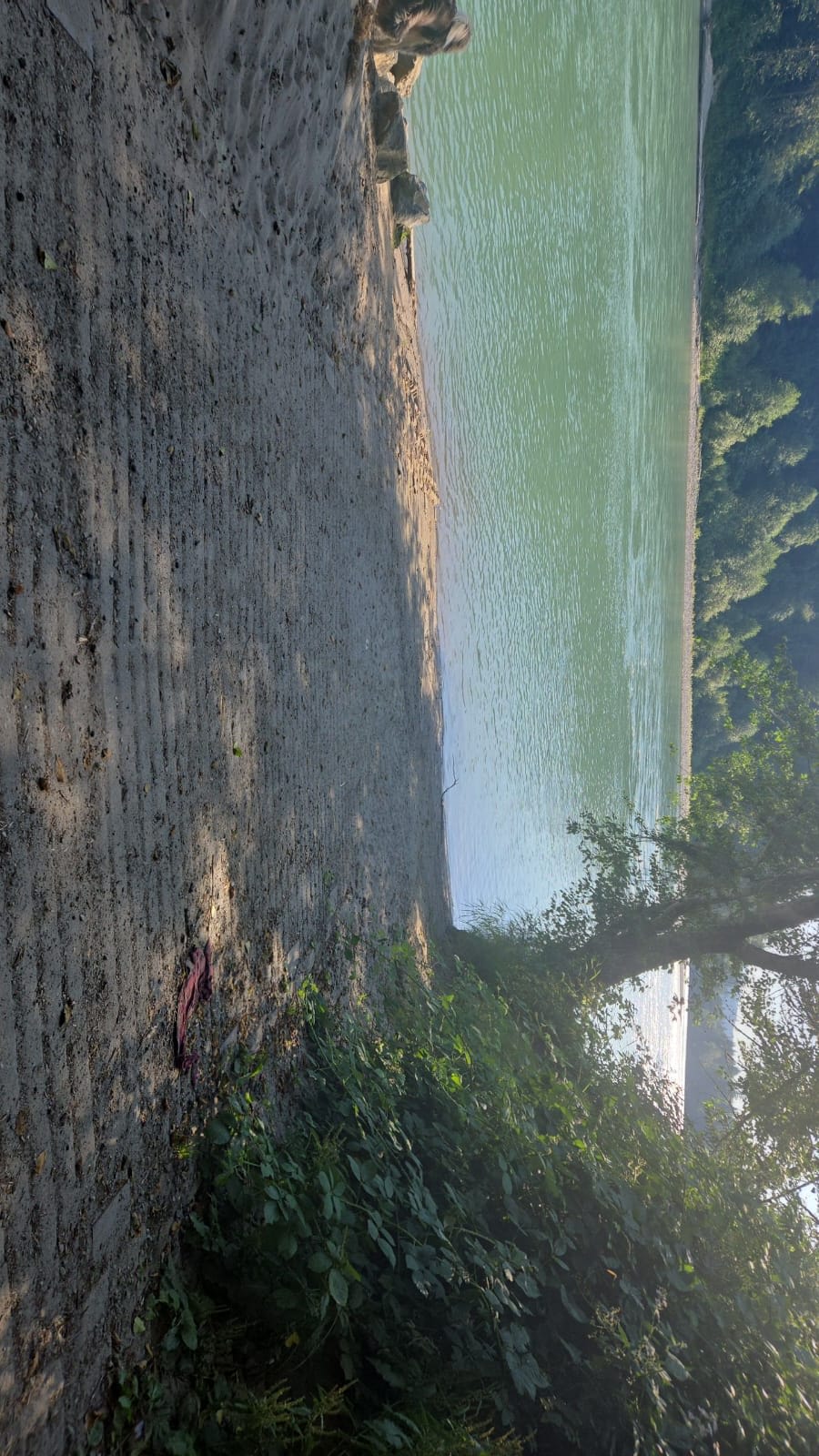 Sauk View Woods