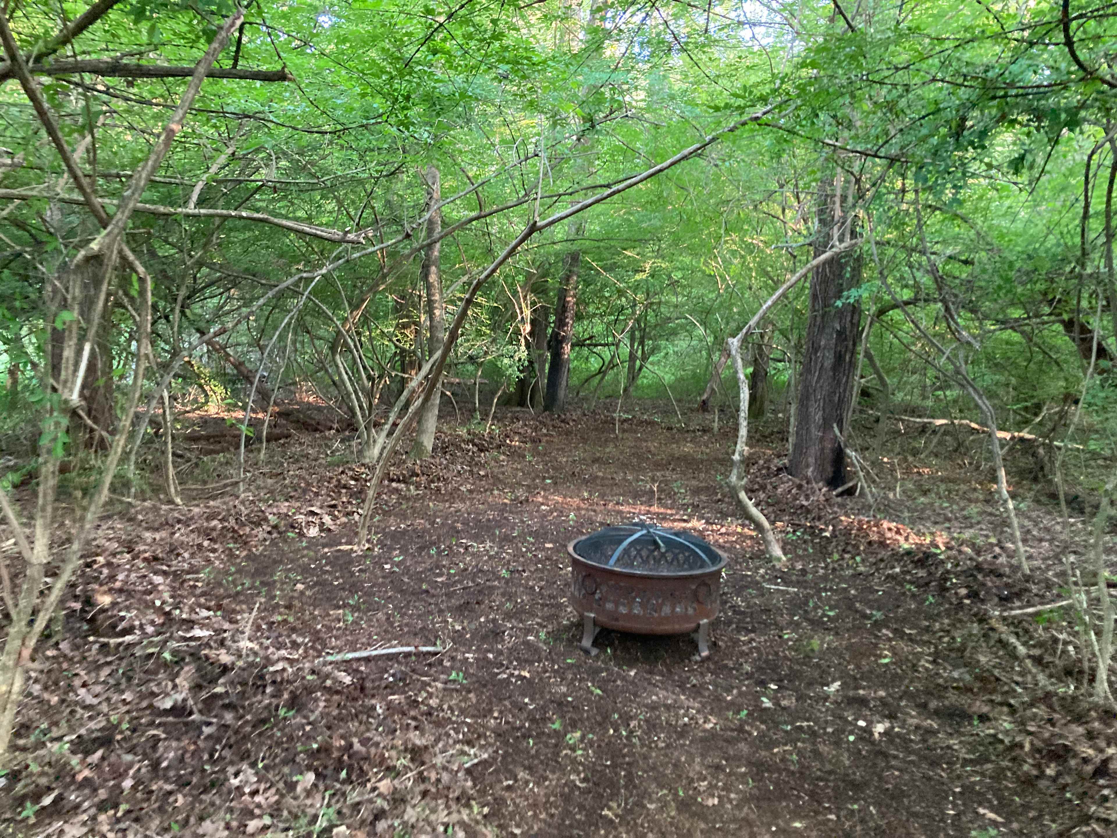 Camping on the Homestead
