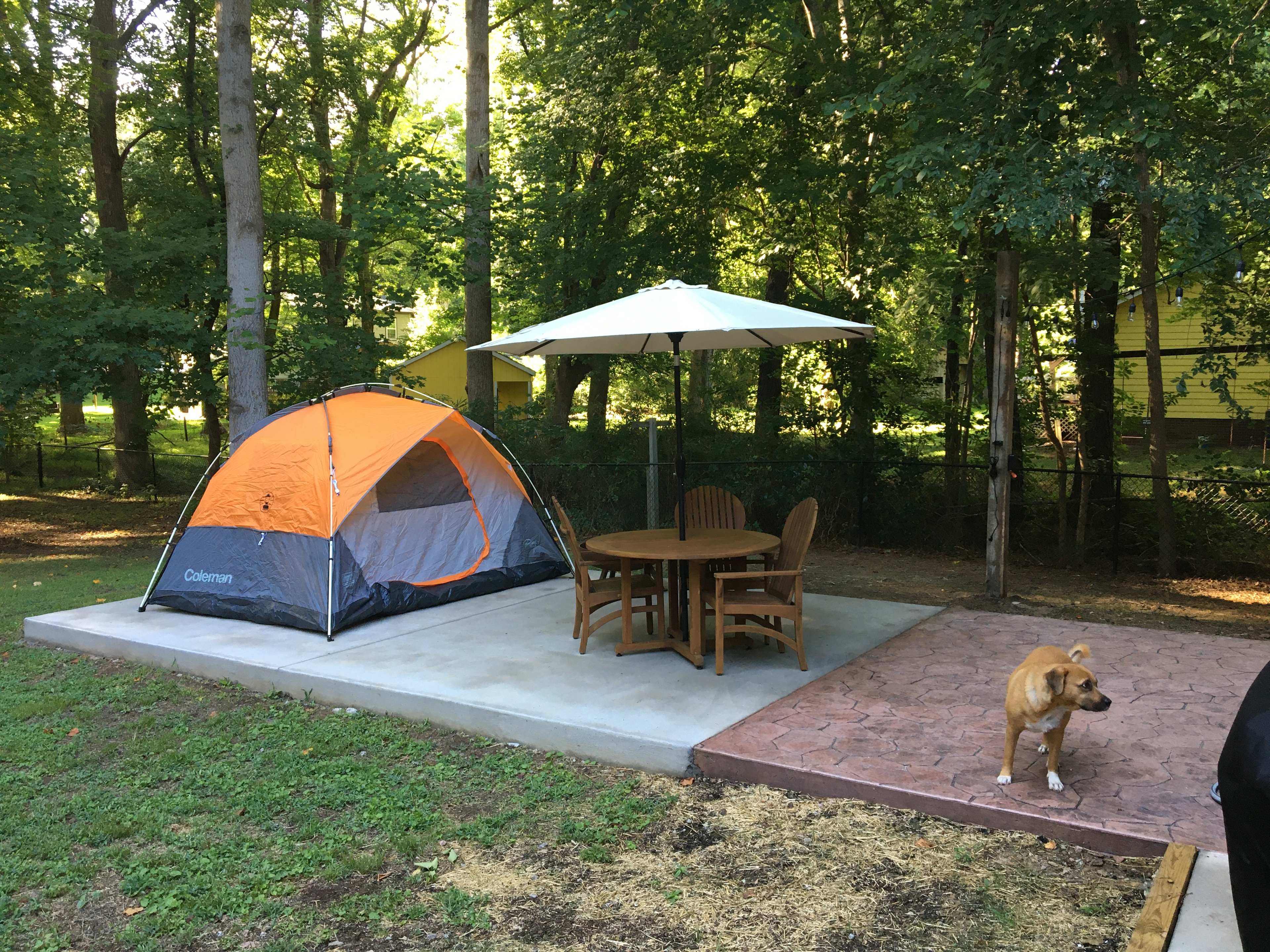 MINI 105 WOODS RUN URBAN CAMPING