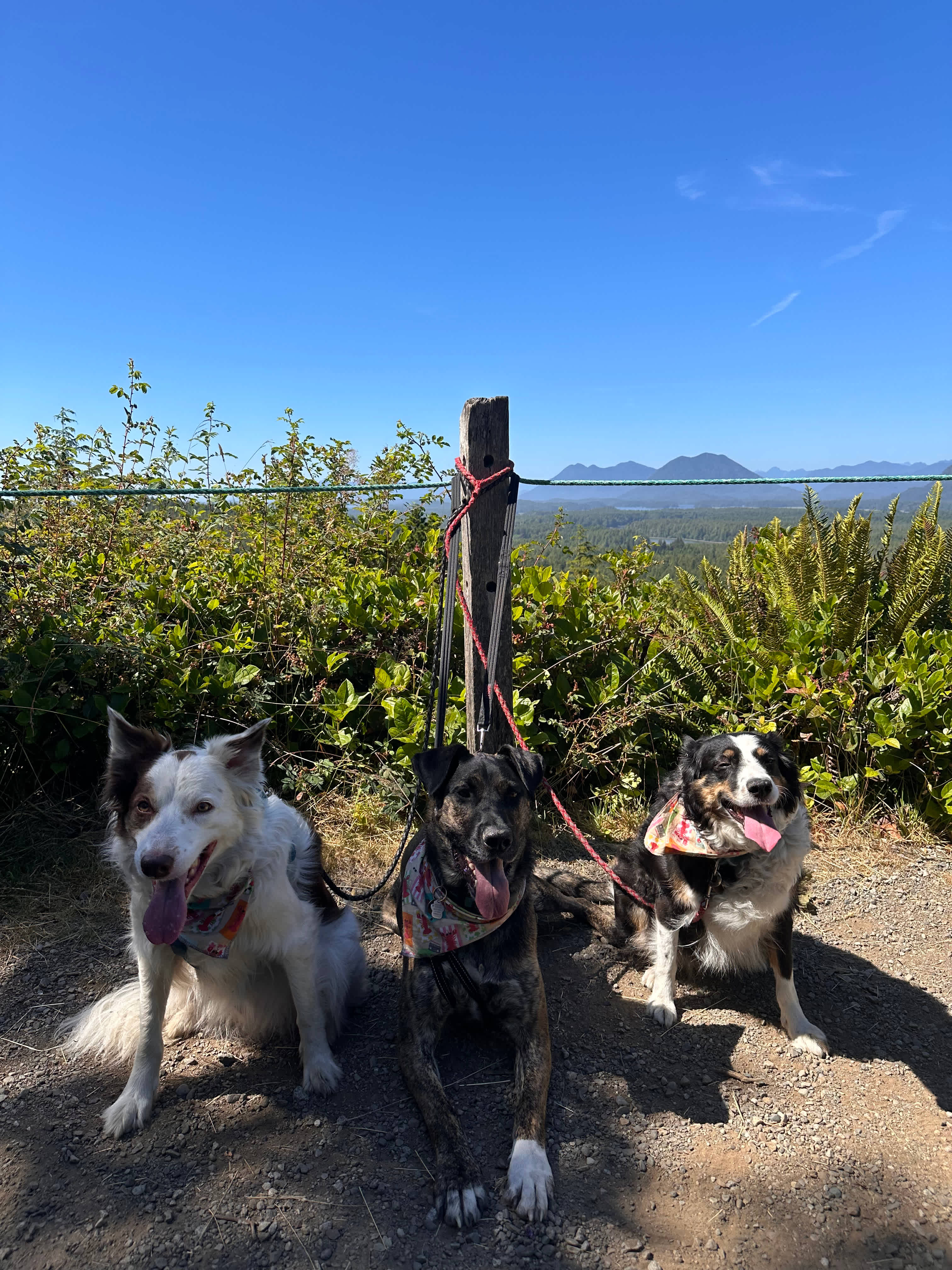 Radar Hill is located nearby and provides stunning accessible views. 
