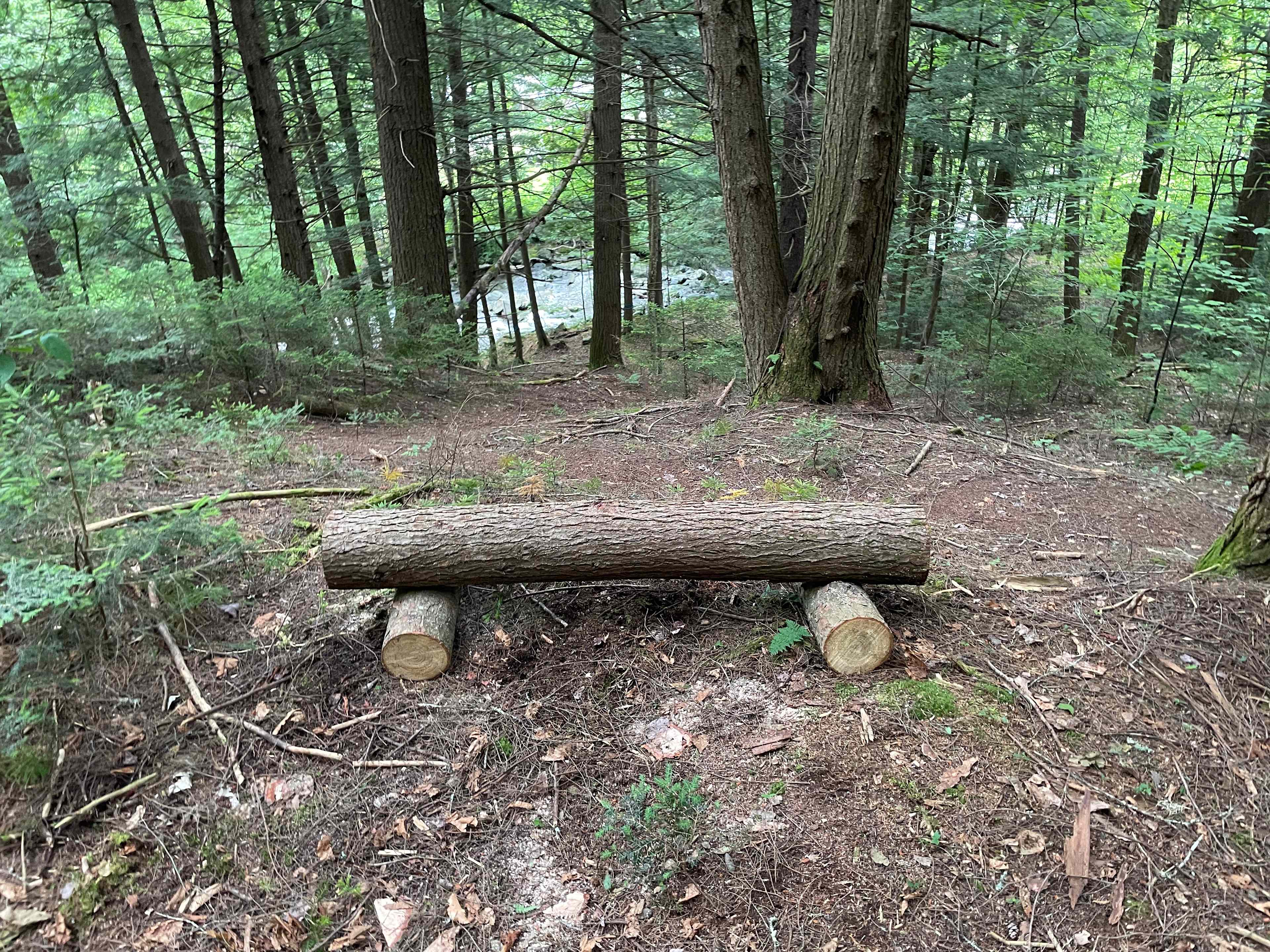 The Hollow at Dynamite Falls