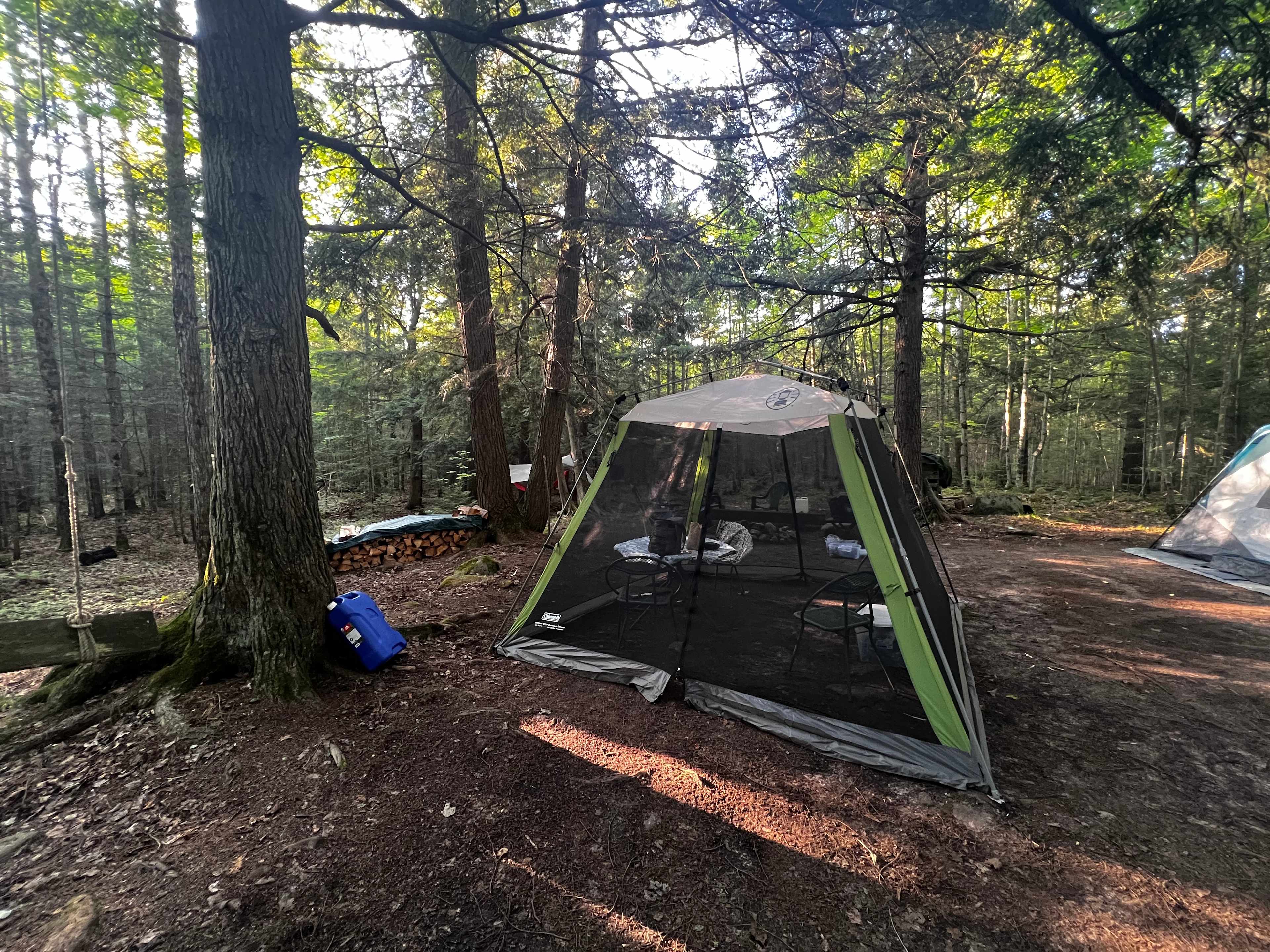 Picture of the site