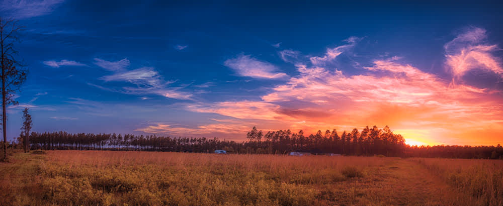 Camp Z Folkston