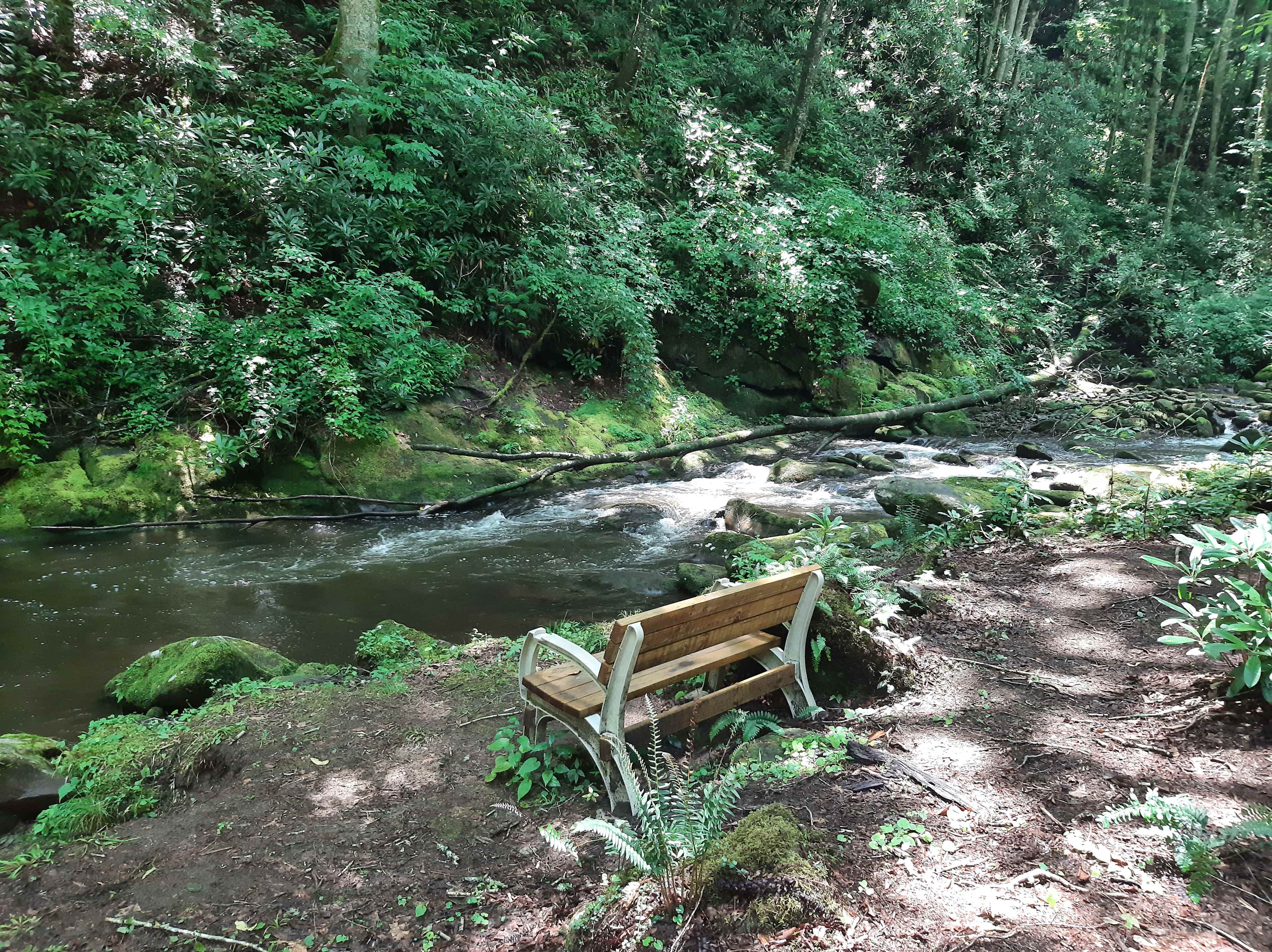 Mountain Creek Rest