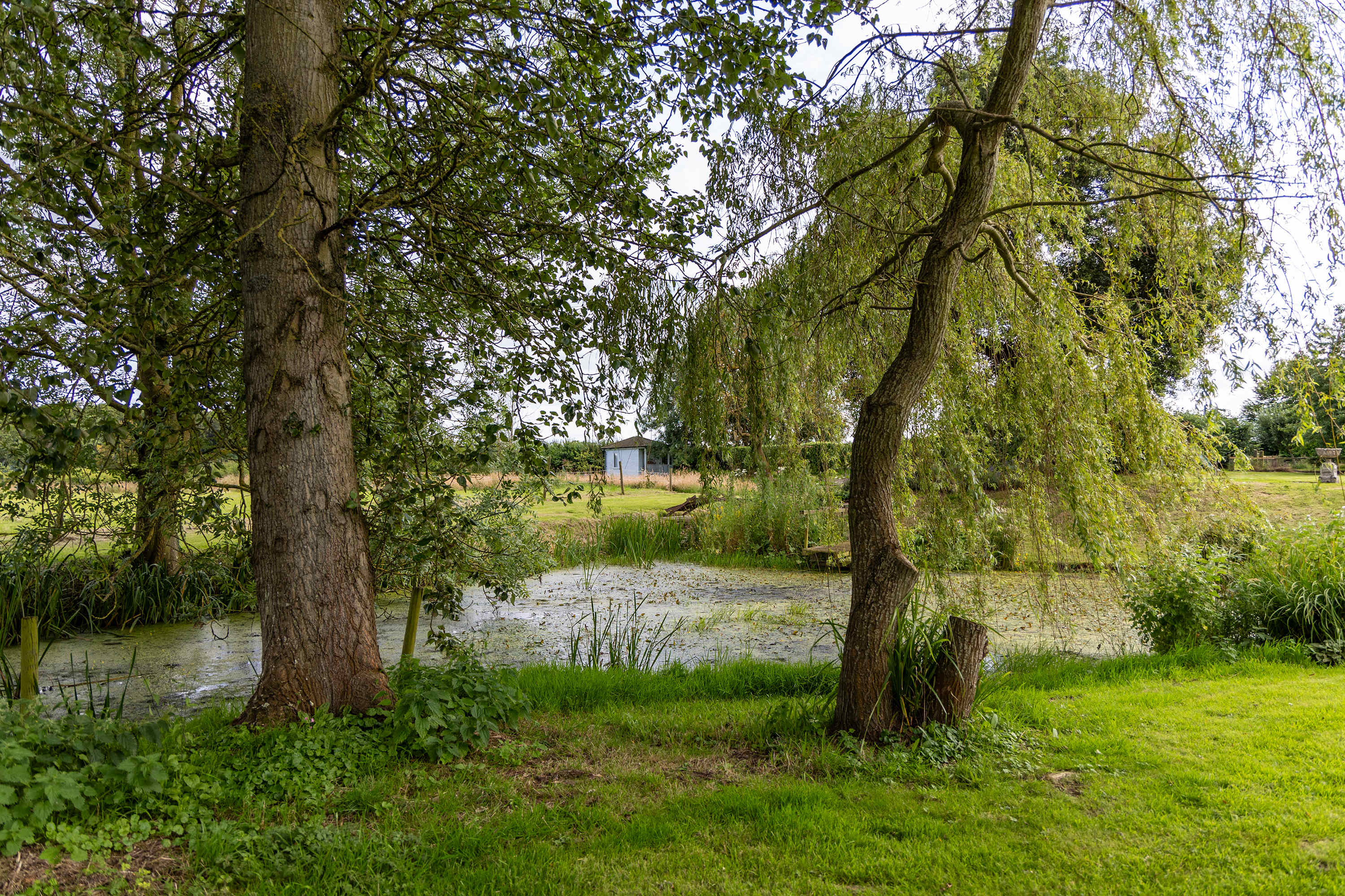 A nearby pond is another hub for nature.