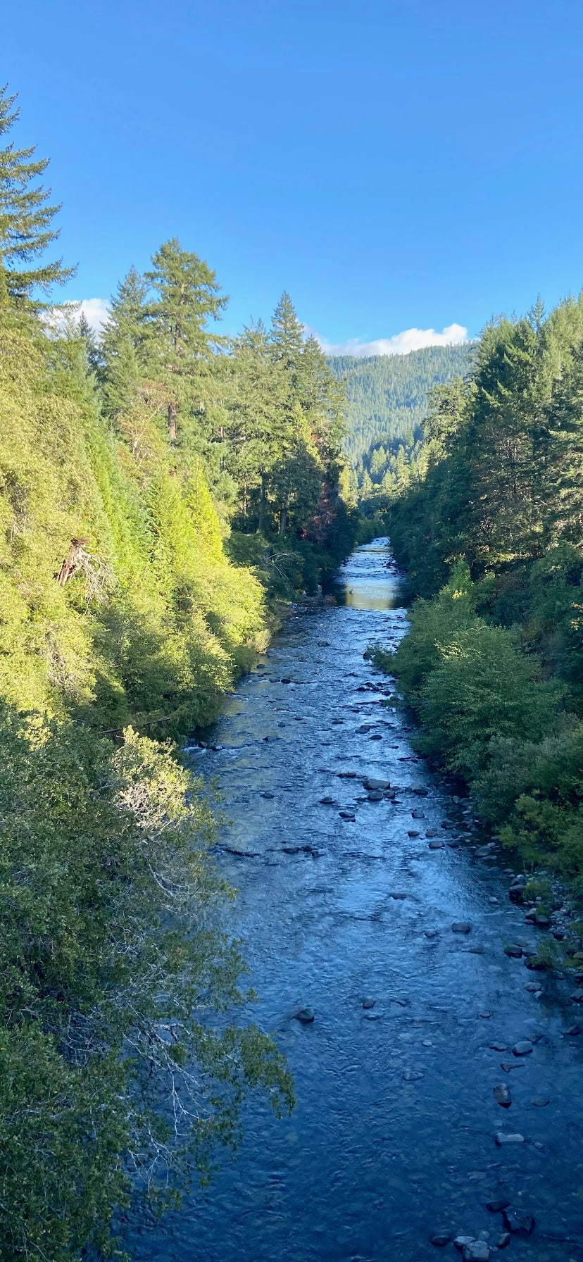 Wolfe’s Den
