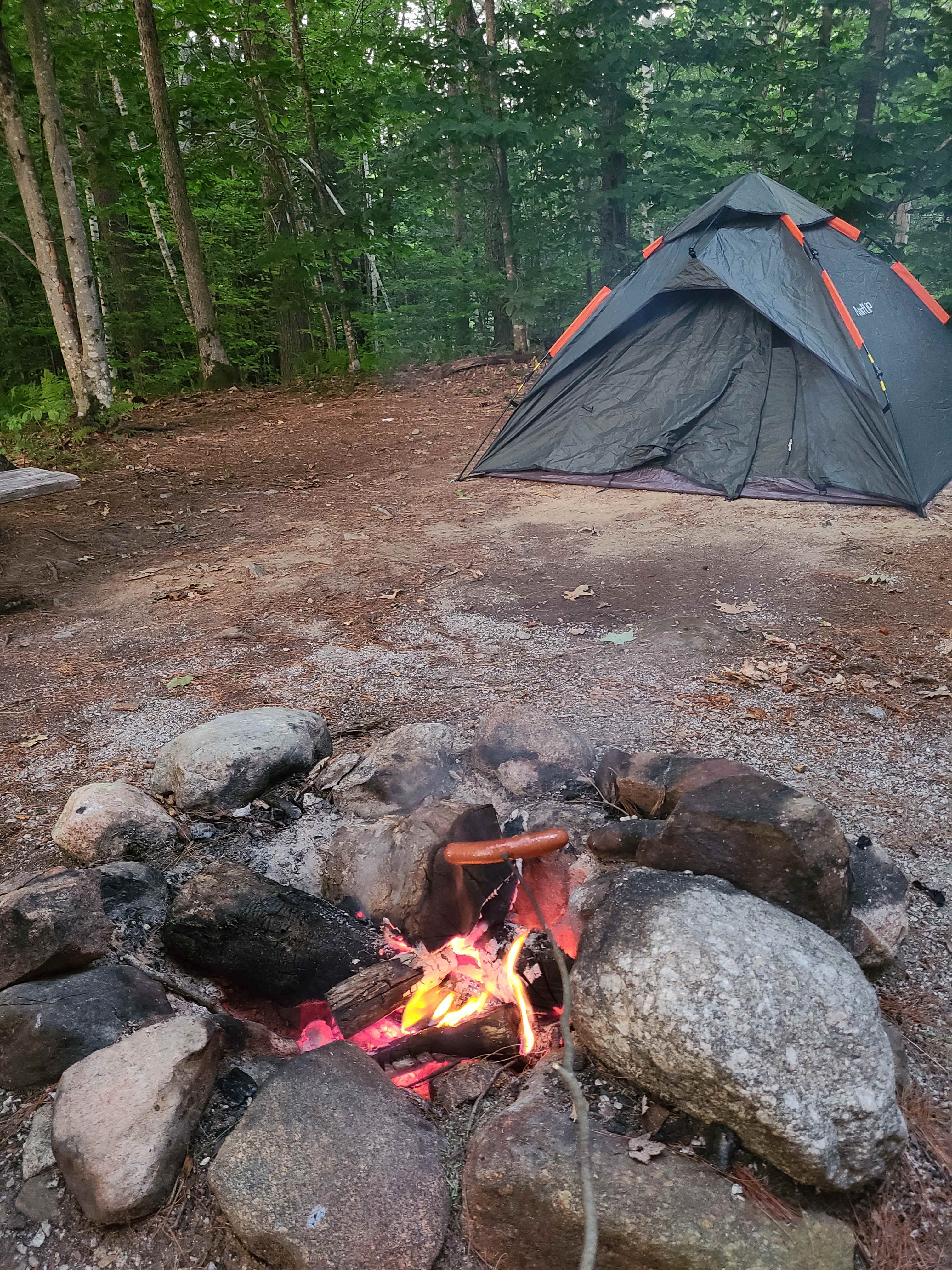 Picture of the site