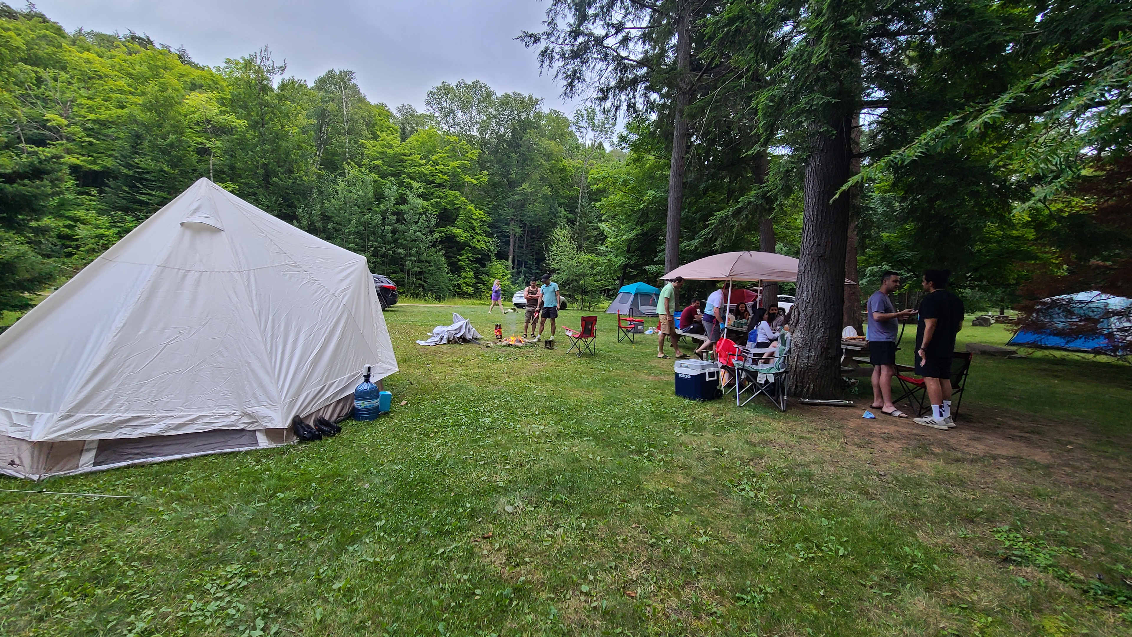 Picture of the site