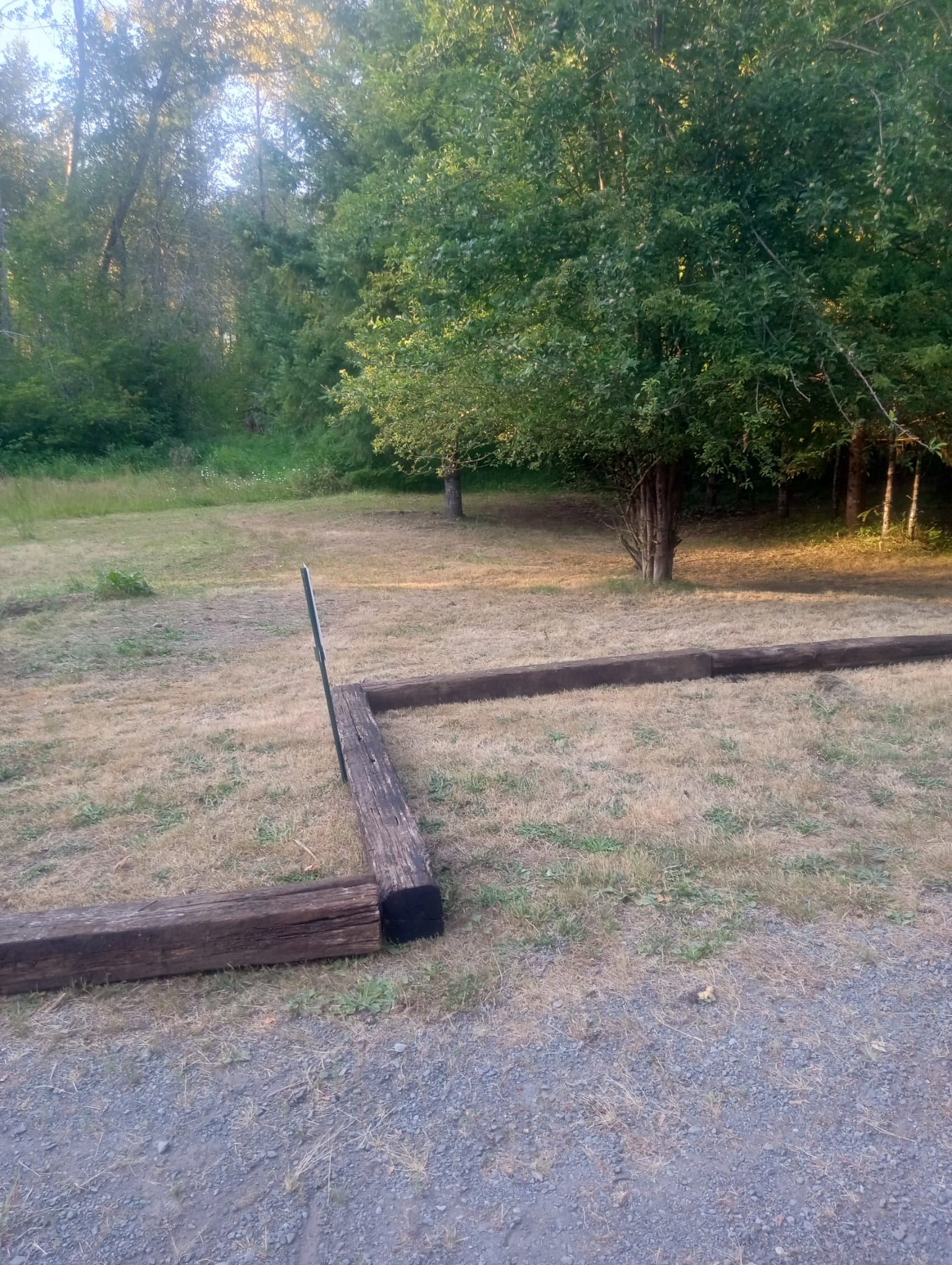 Riverside Camping Near Mt Rainier