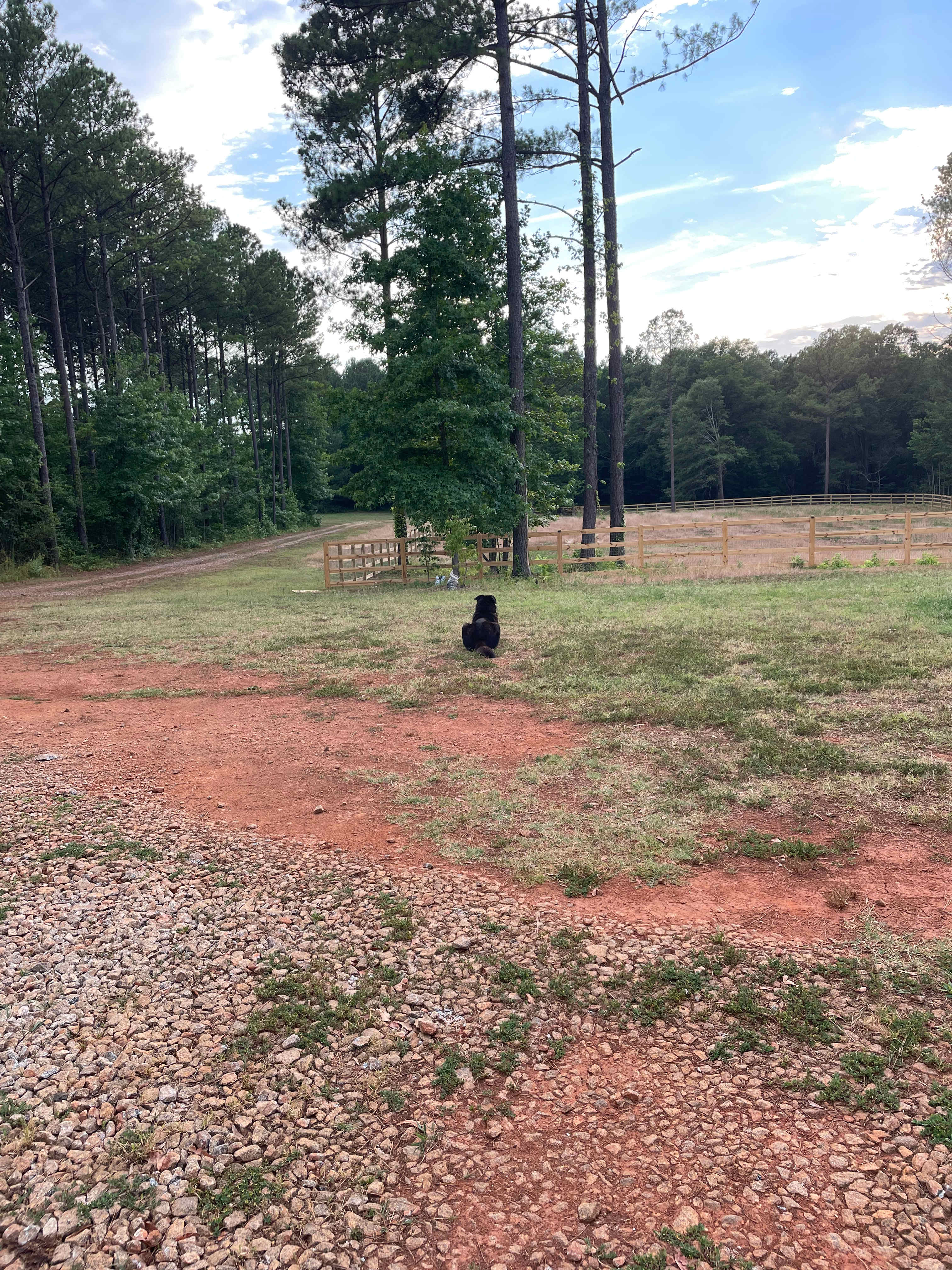 MuddyPawz Farm