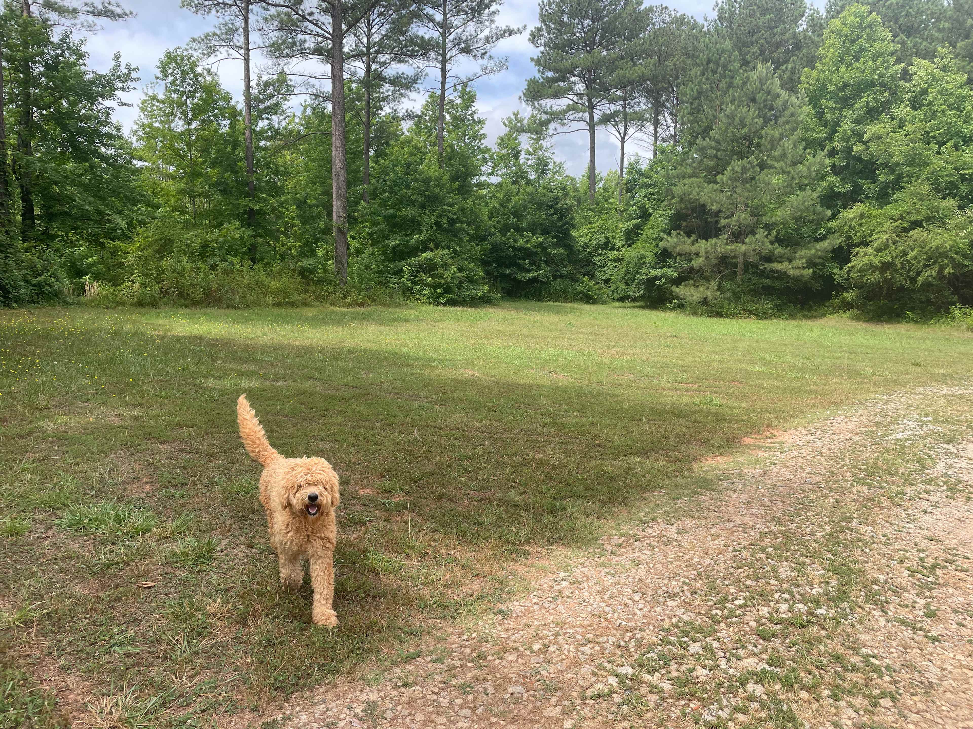 MuddyPawz Farm