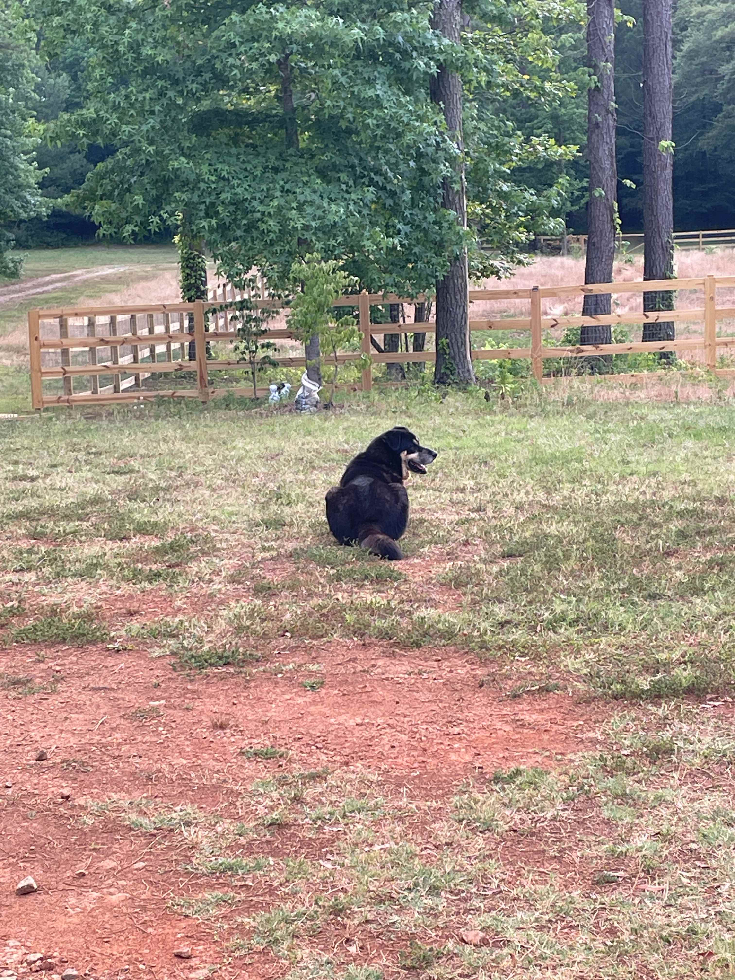 MuddyPawz Farm