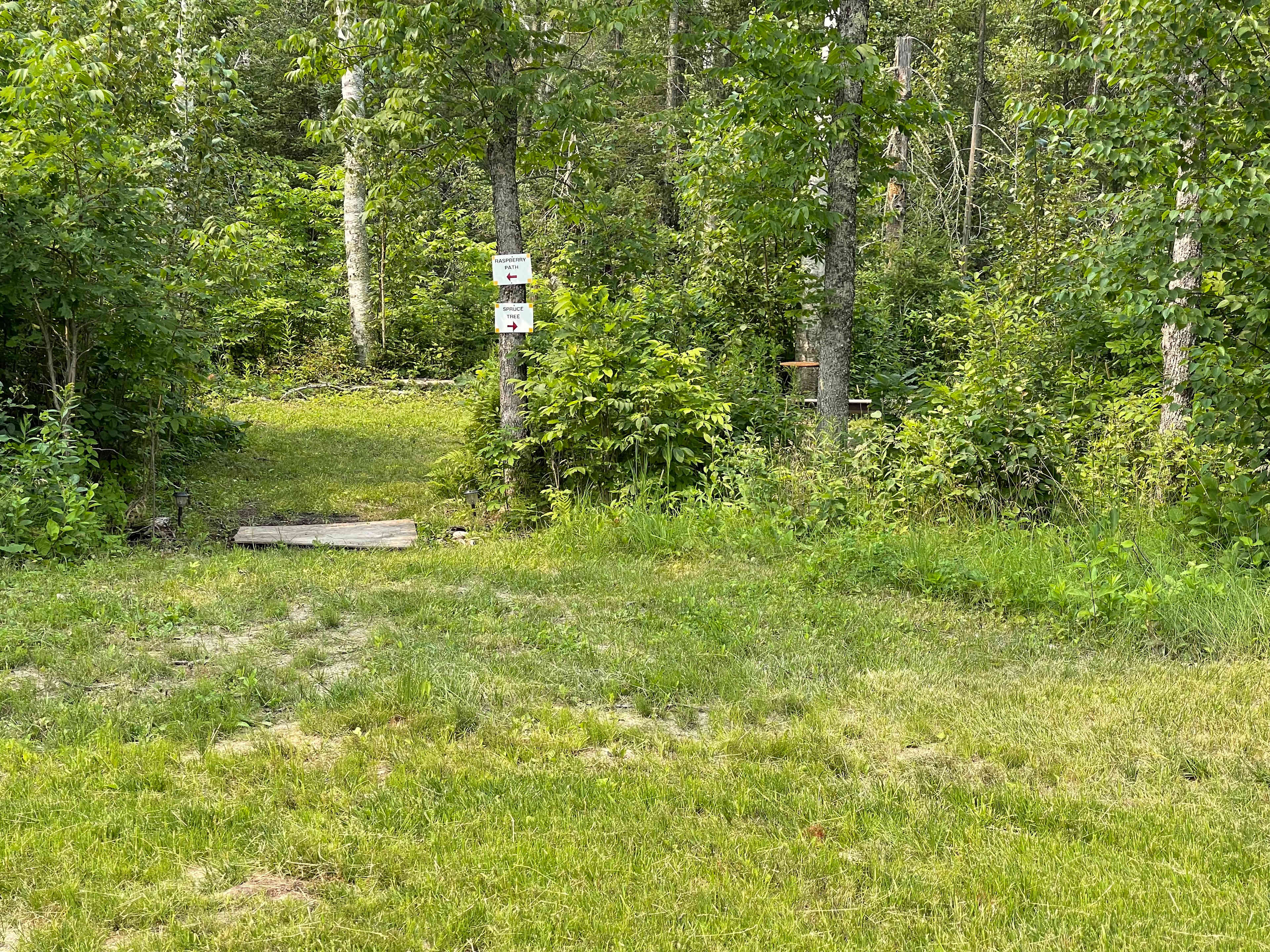 Tamarack Ponds