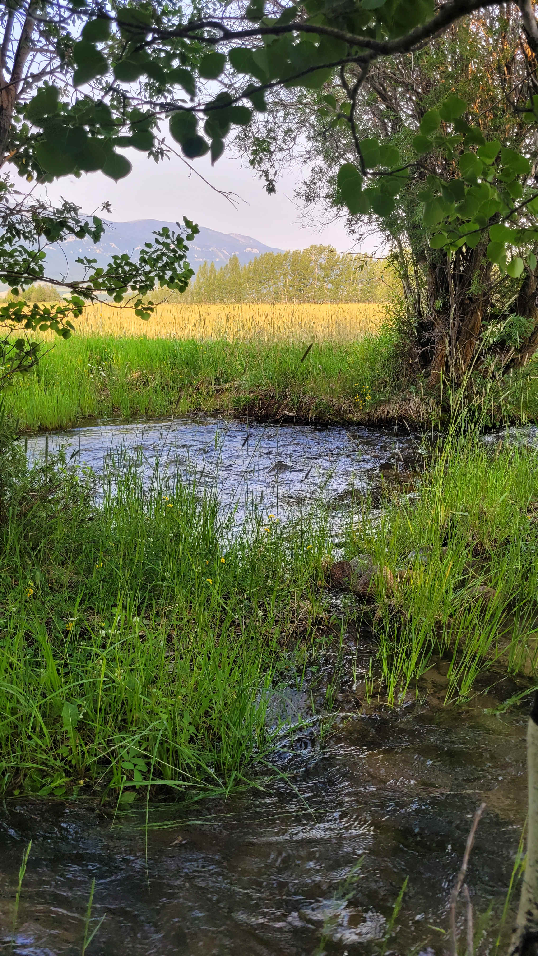 Tucker Ranch