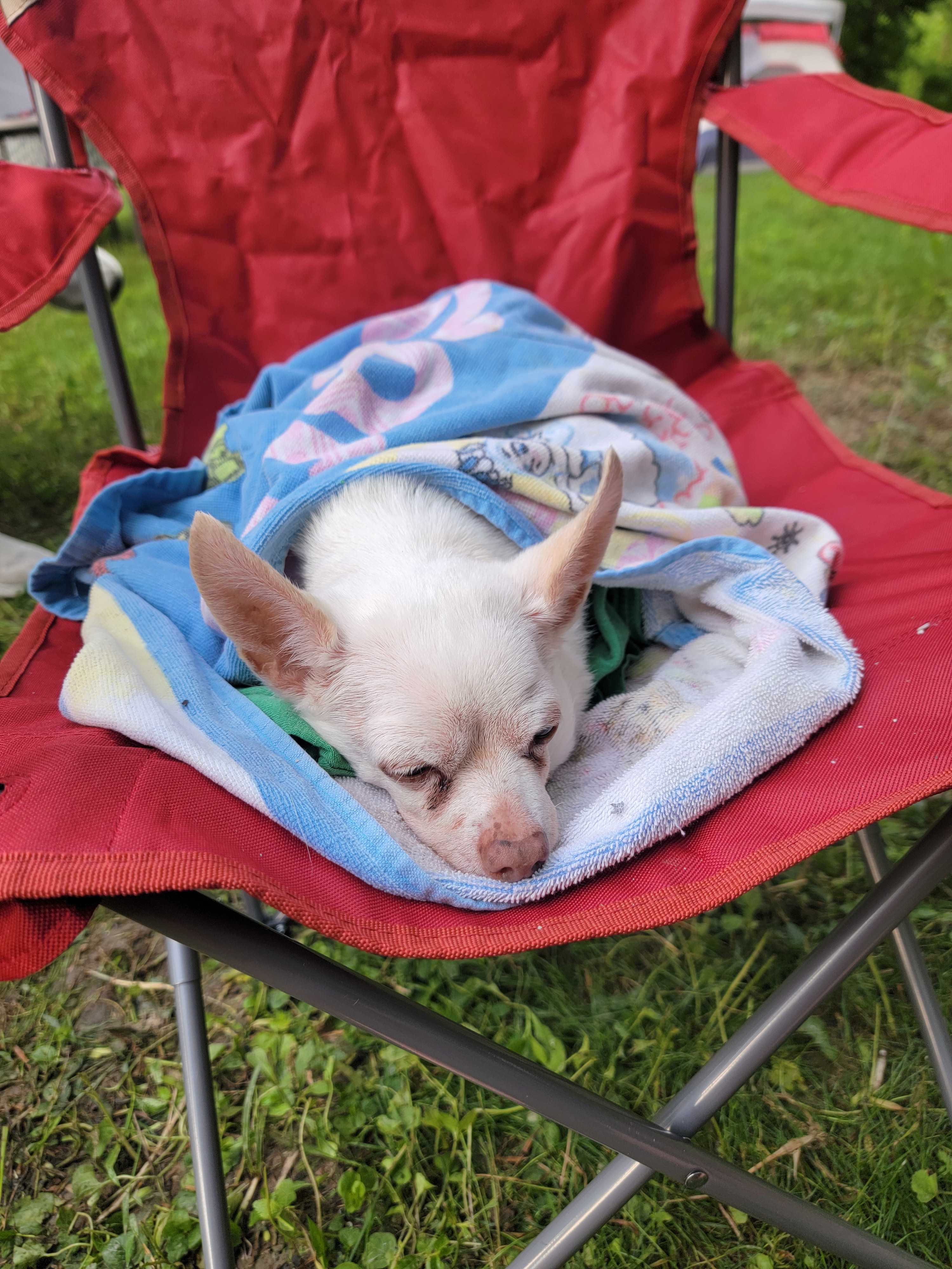Soggy Bottoms Campground