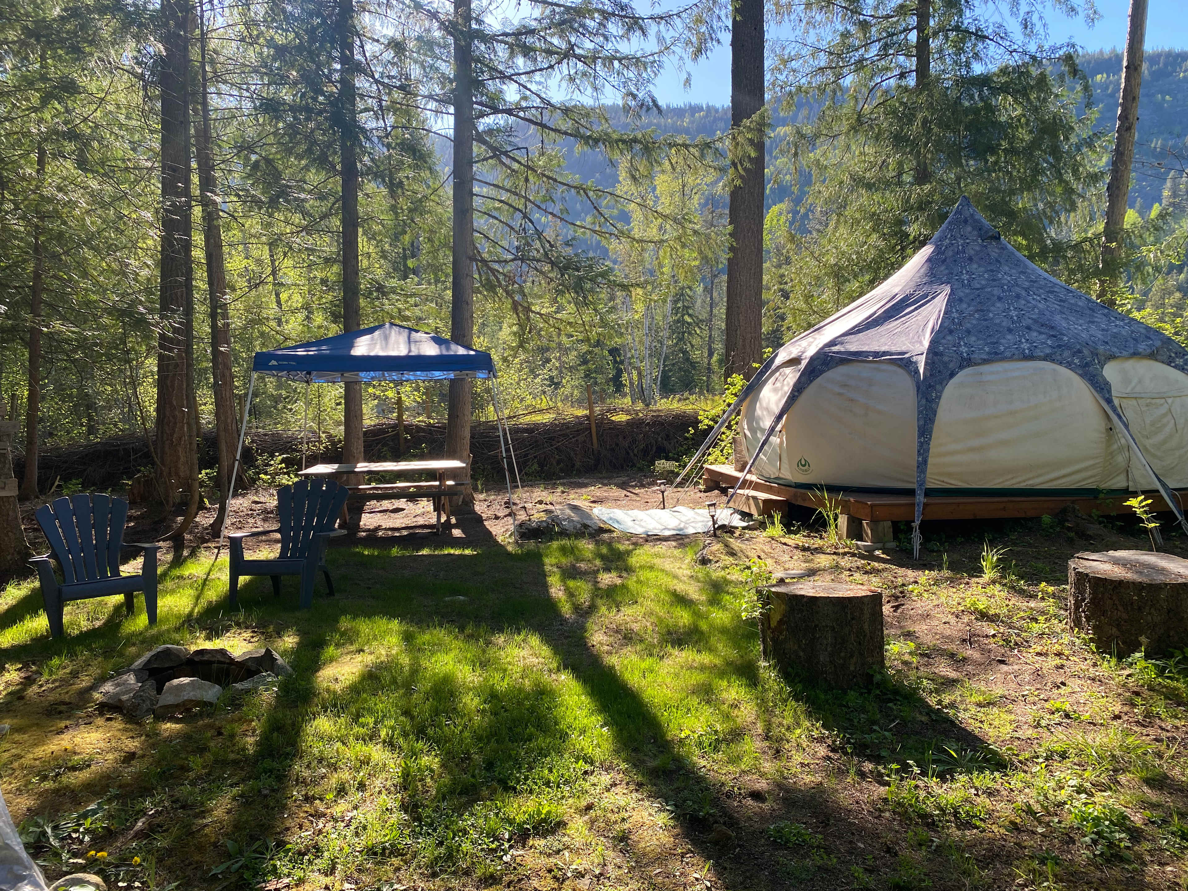 Cedar Forest Glamping
