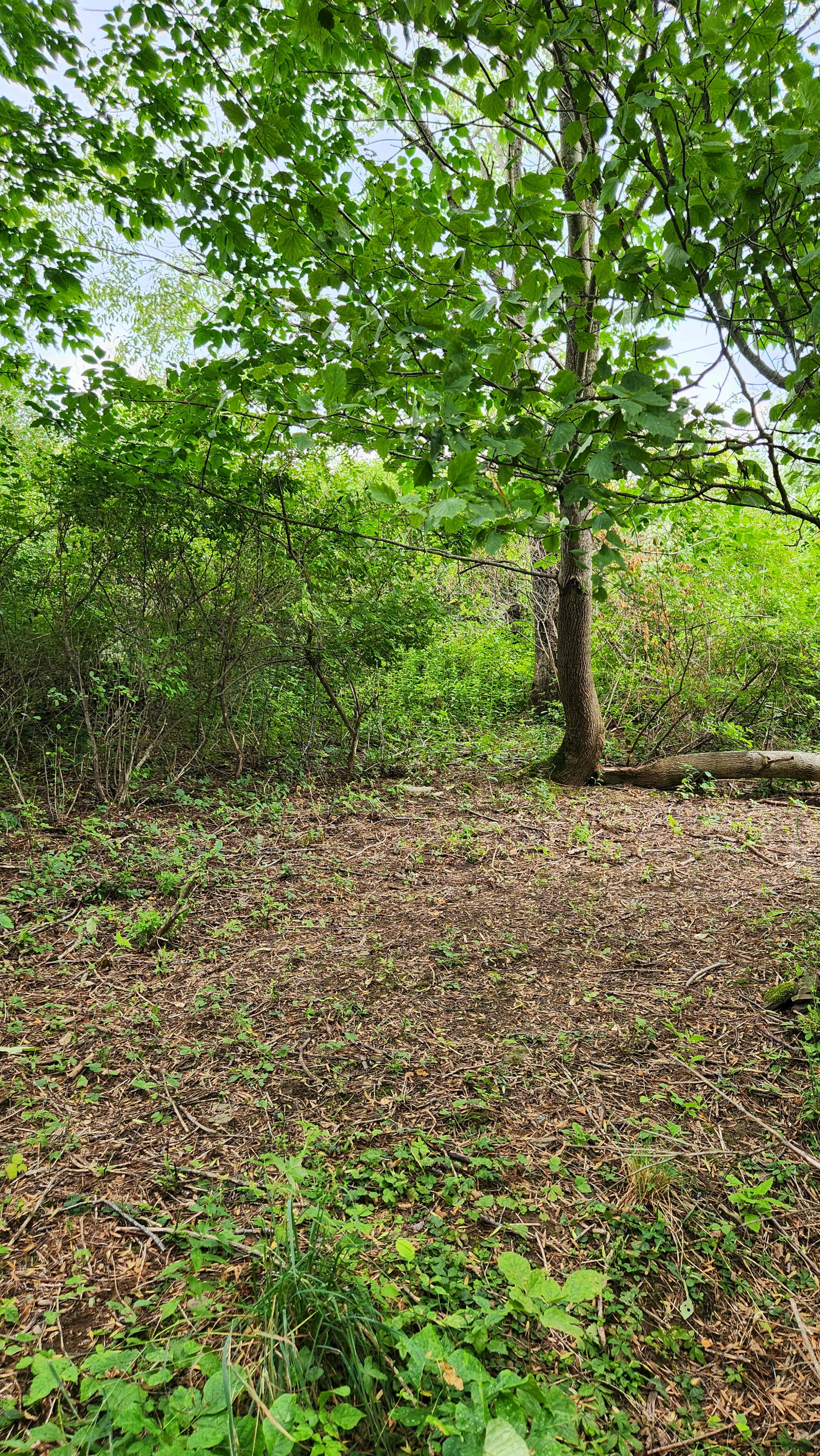 Wild Way Sanctuary