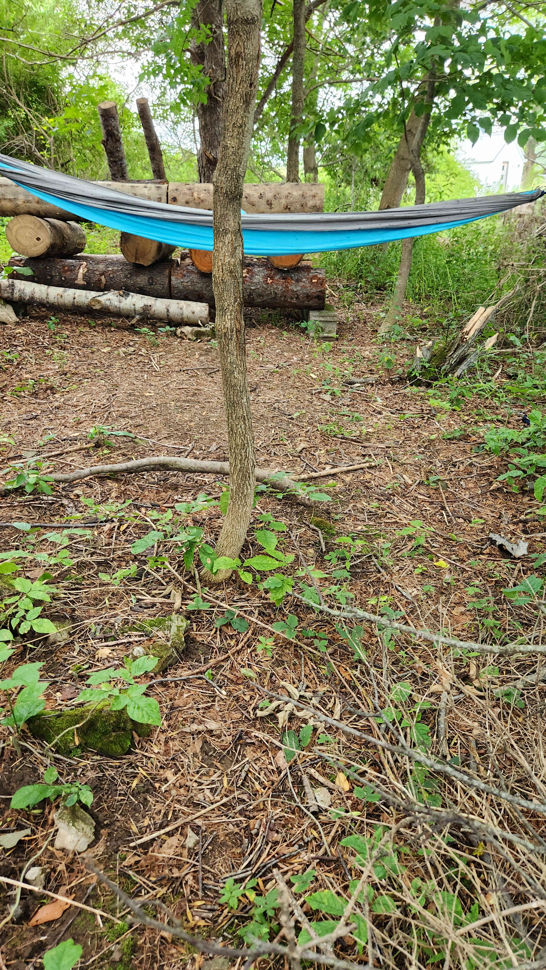 Wild Way Sanctuary