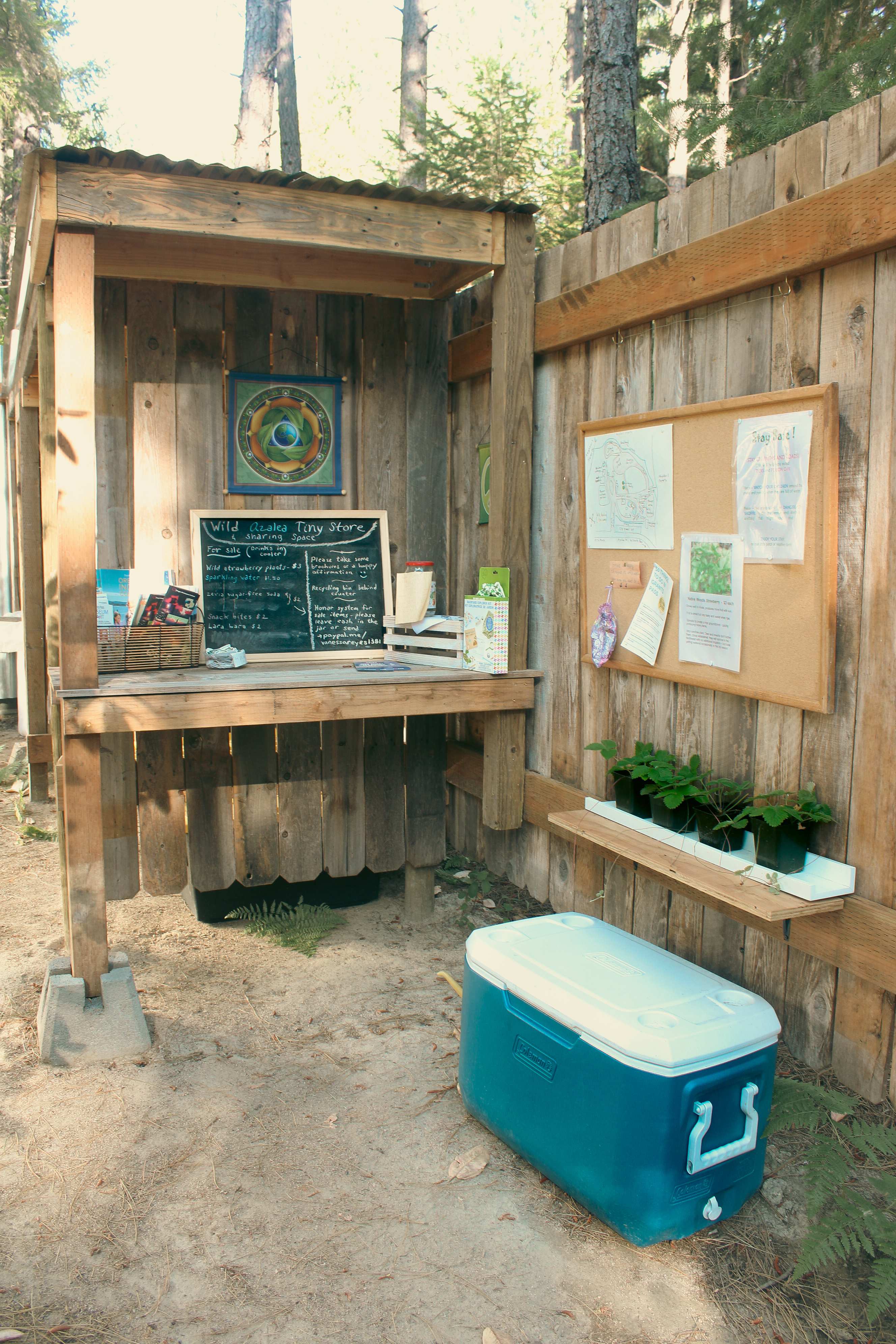 Picture of the site