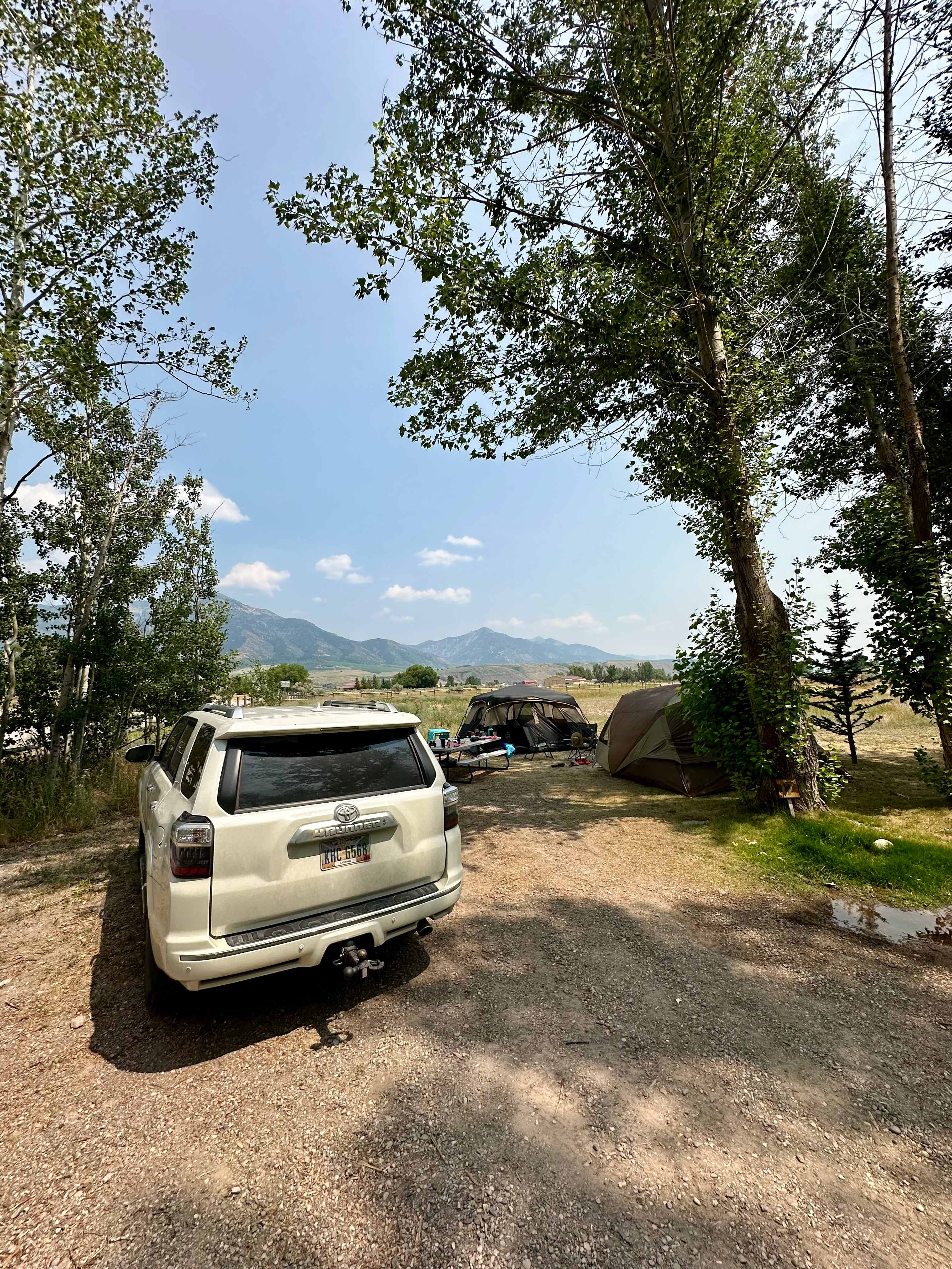 Picture of the site