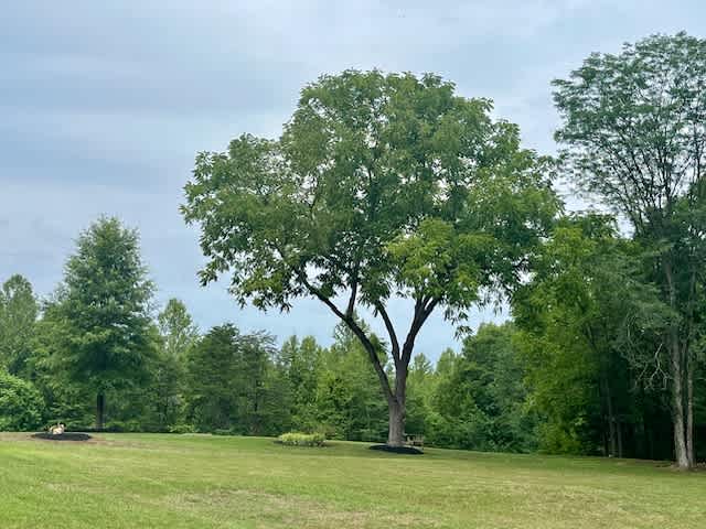 Diamond Heritage Nature Sites