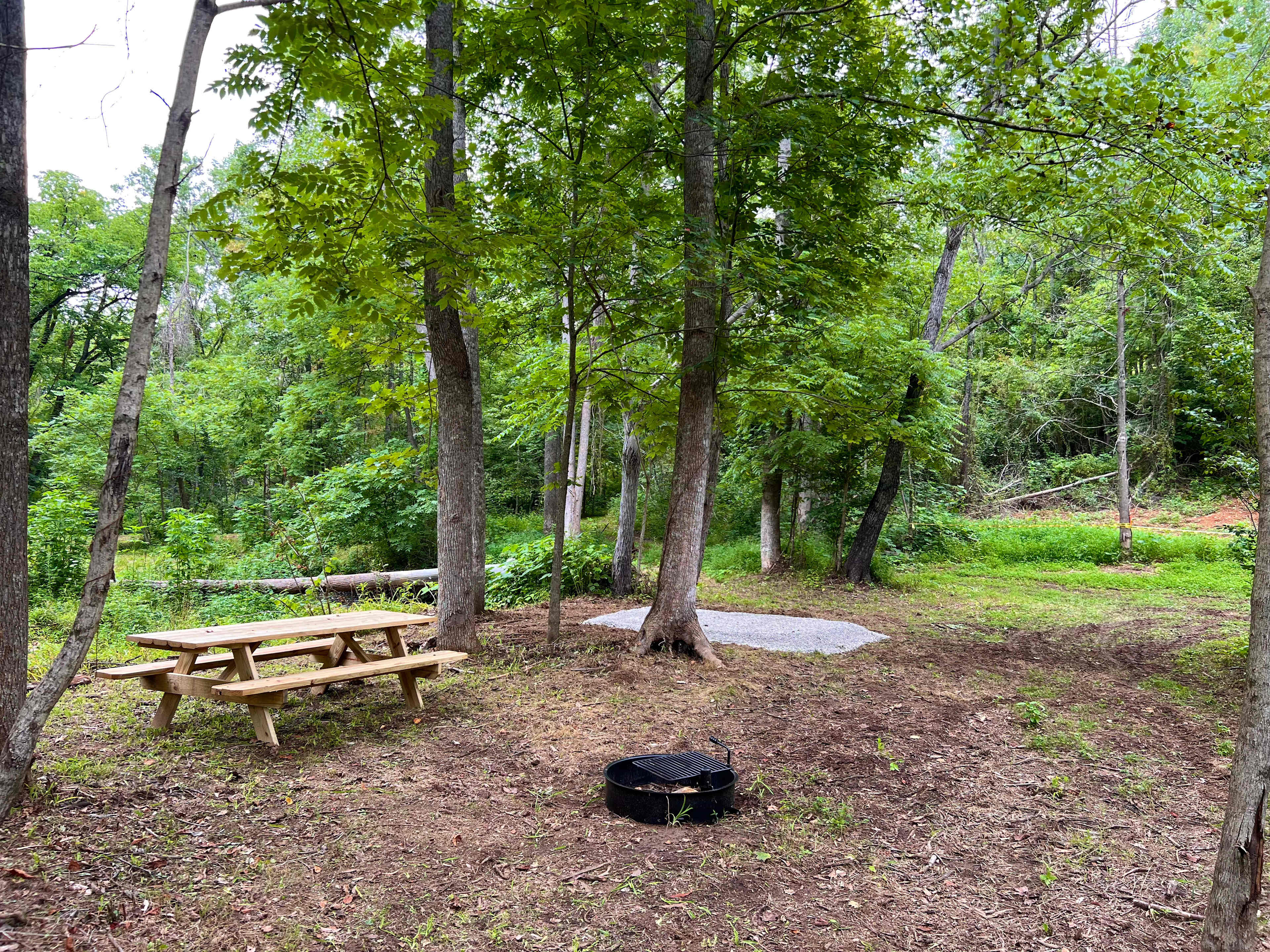 Picture of the site