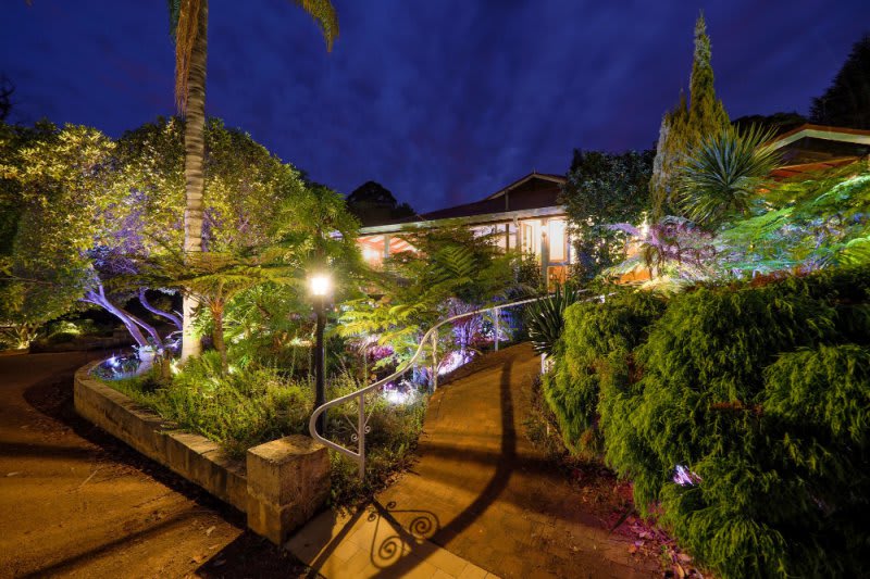 The Forest Lodge Resort