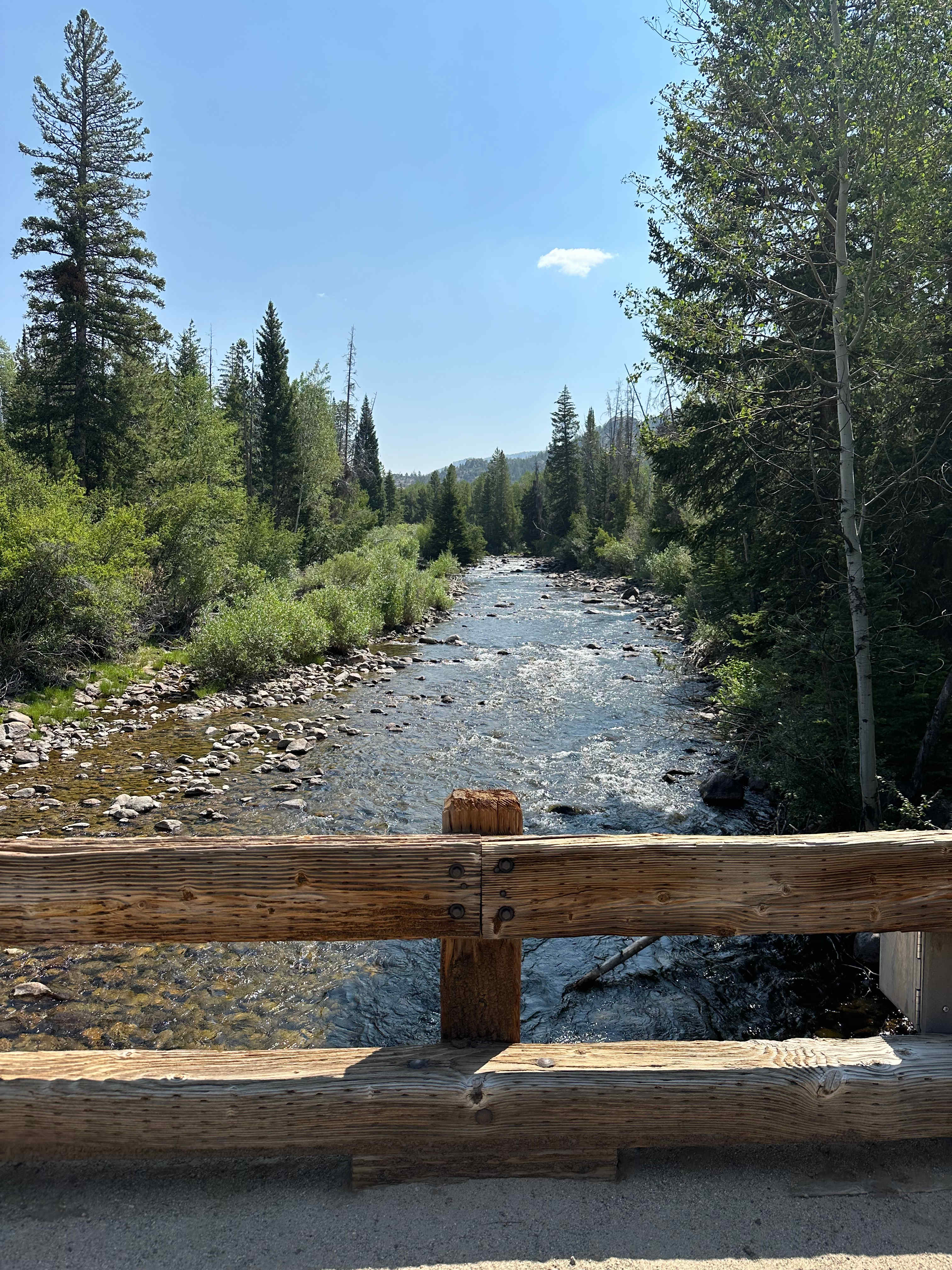 Boulder Canyon Trail