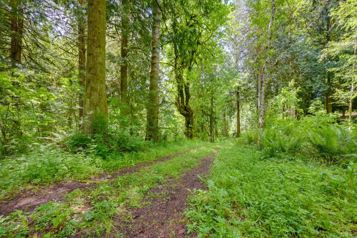 RV+ Rainbow Falls / Willapa Trails