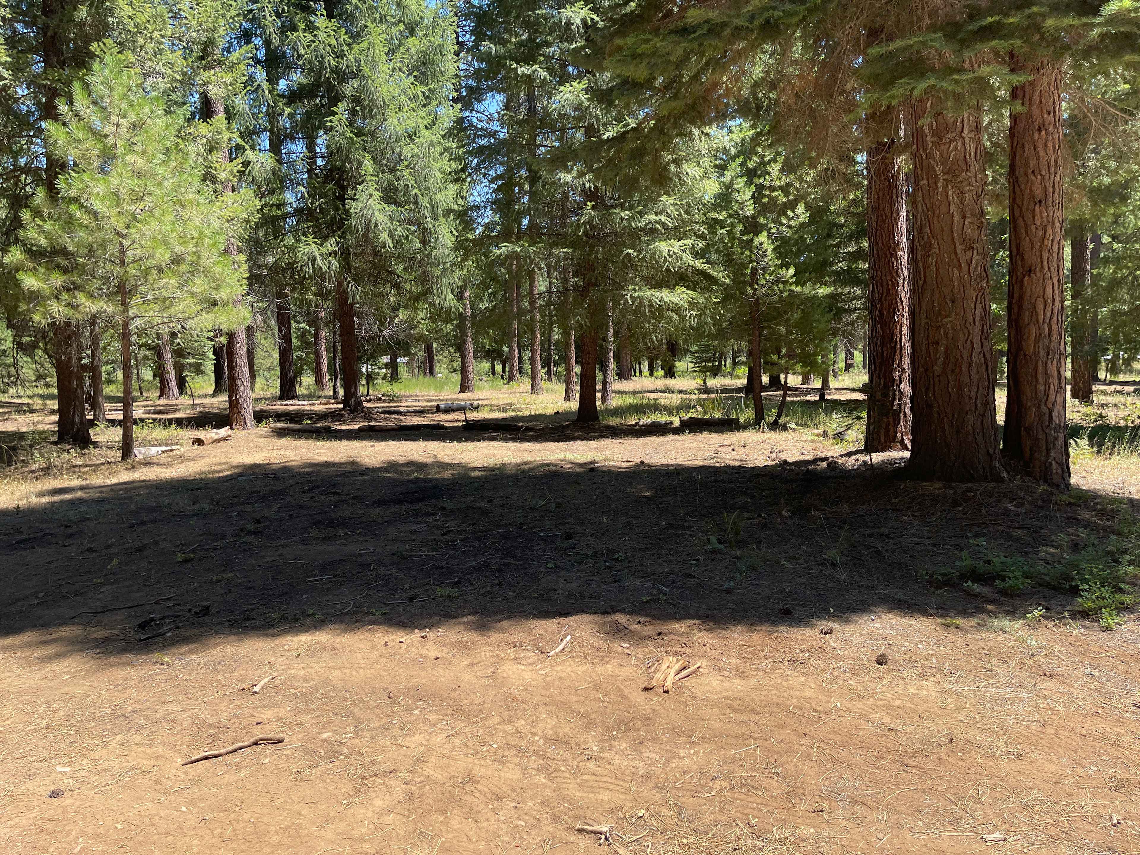 Wild Plumas California