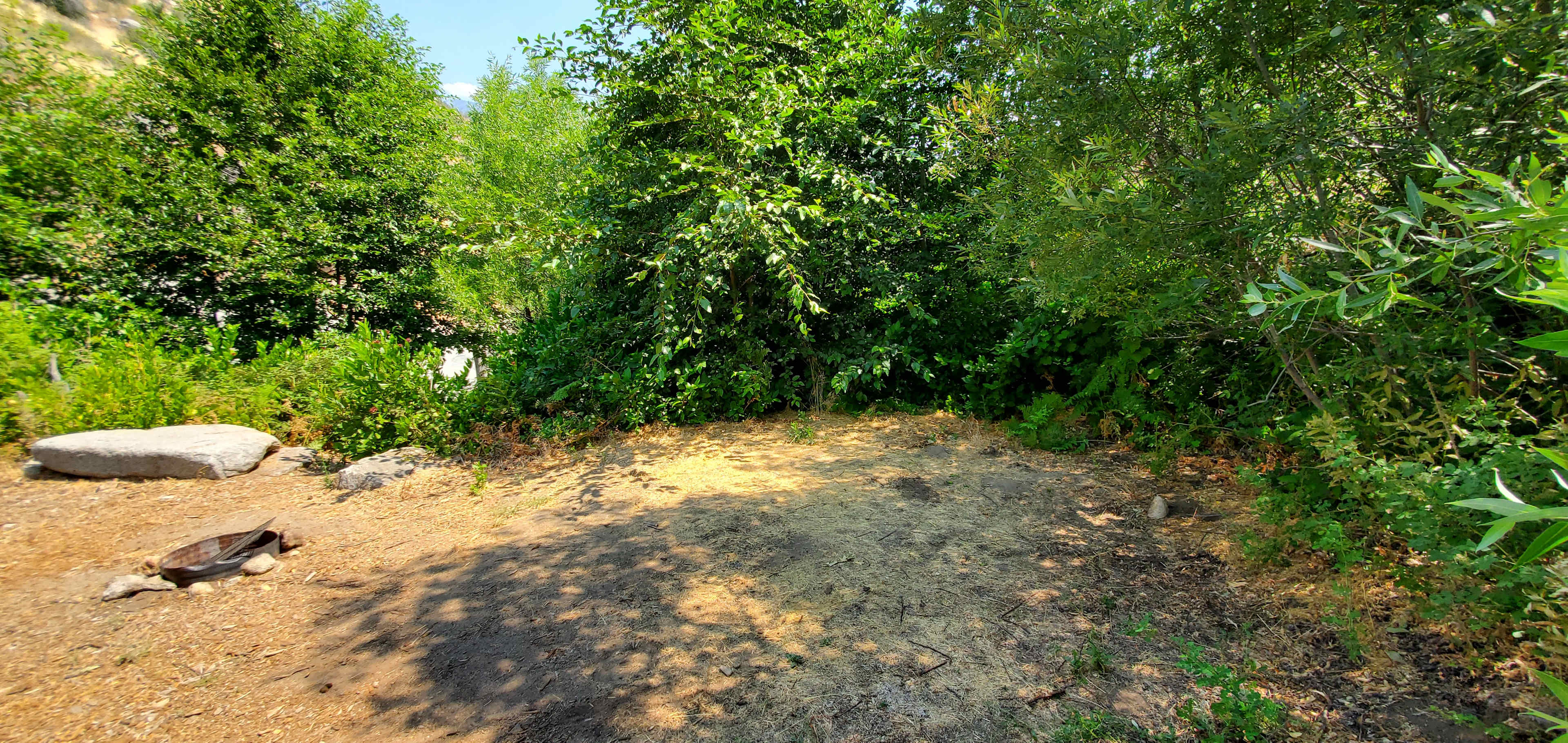 Kings Canyon Campground