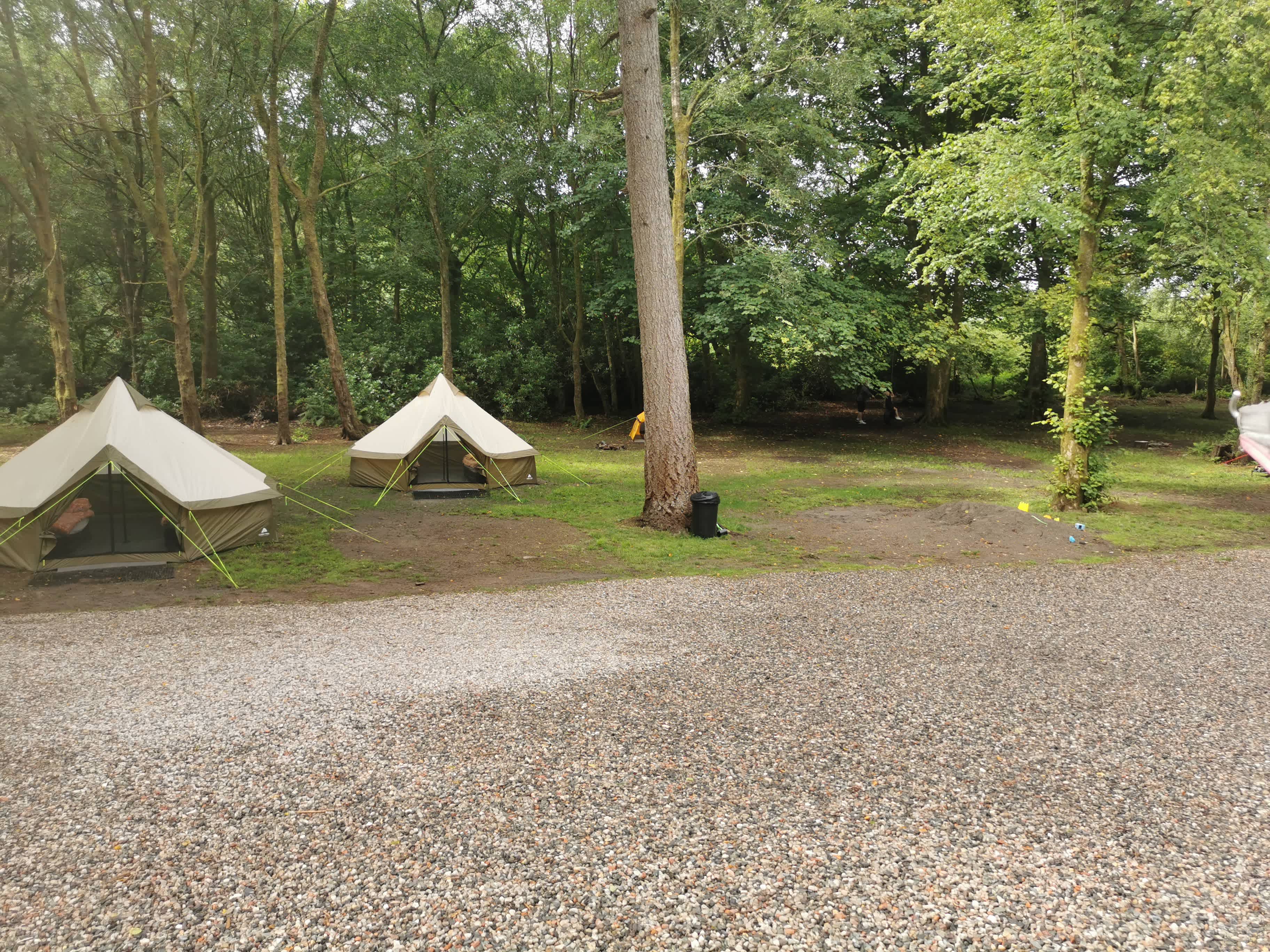 Woodland Camping