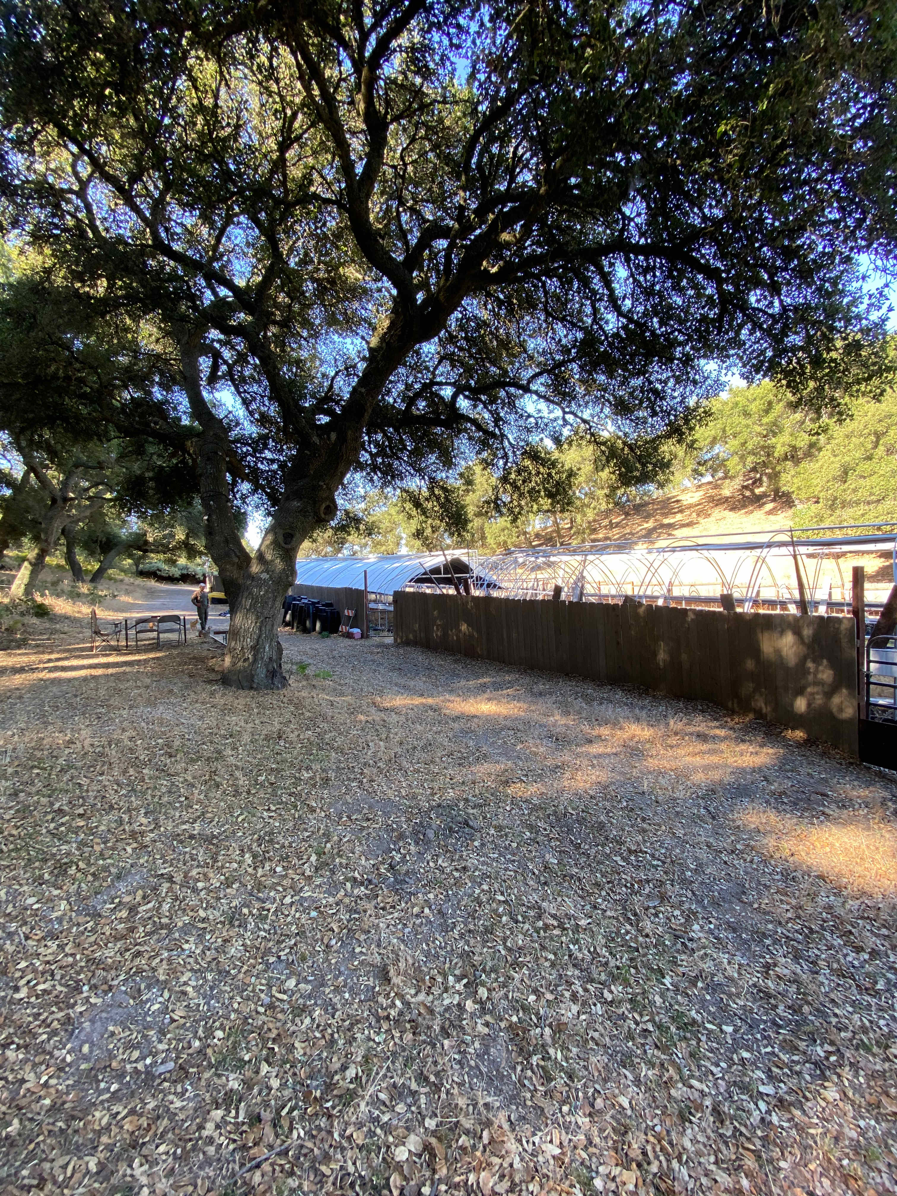 Mt Rancho (FKA La Montaña Ranch)